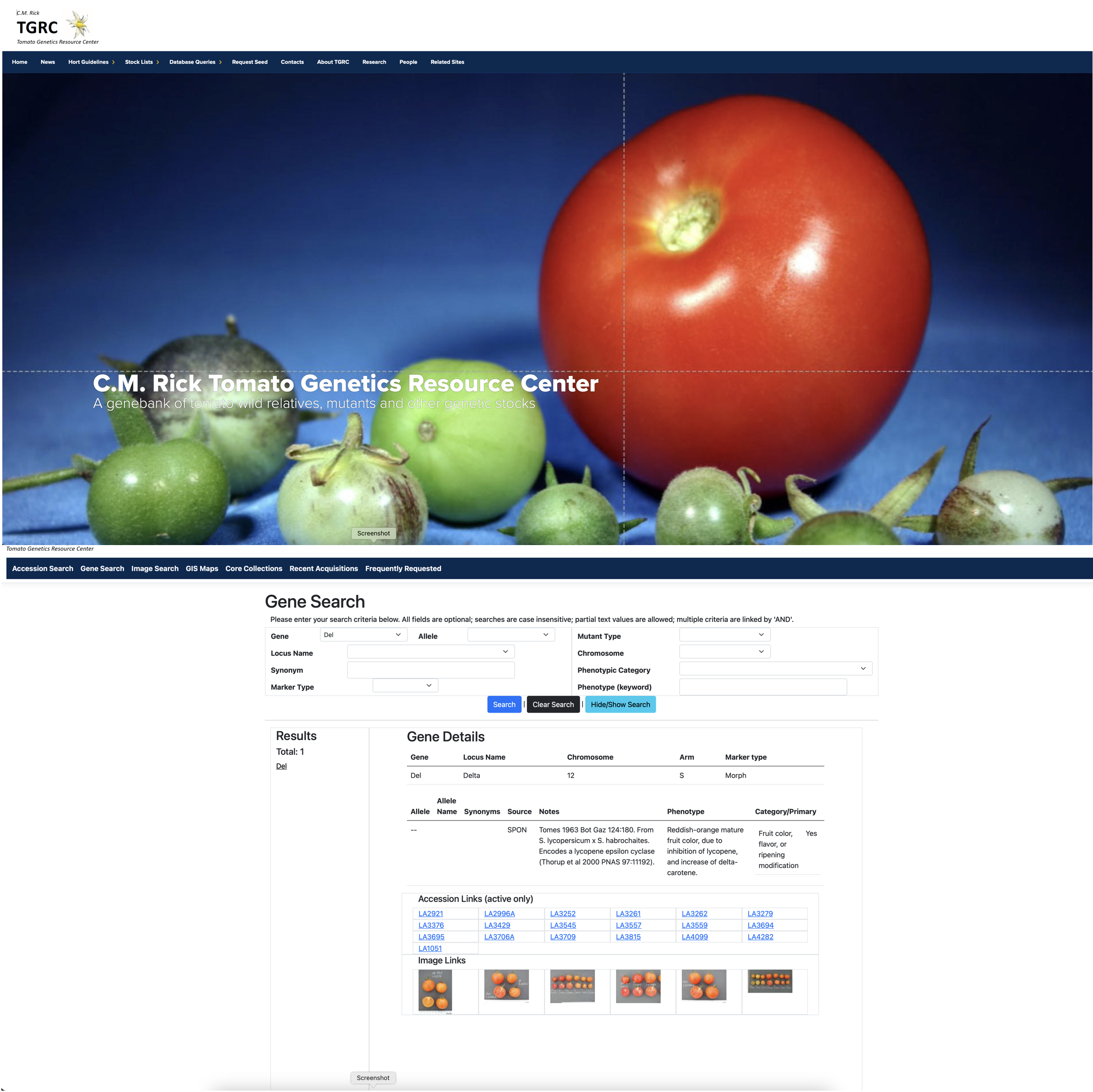 His collection is maintained as a resource for tomato breeding to this day at the UC Davis C.M. Rick Tomato Genetics Resource Center. 
