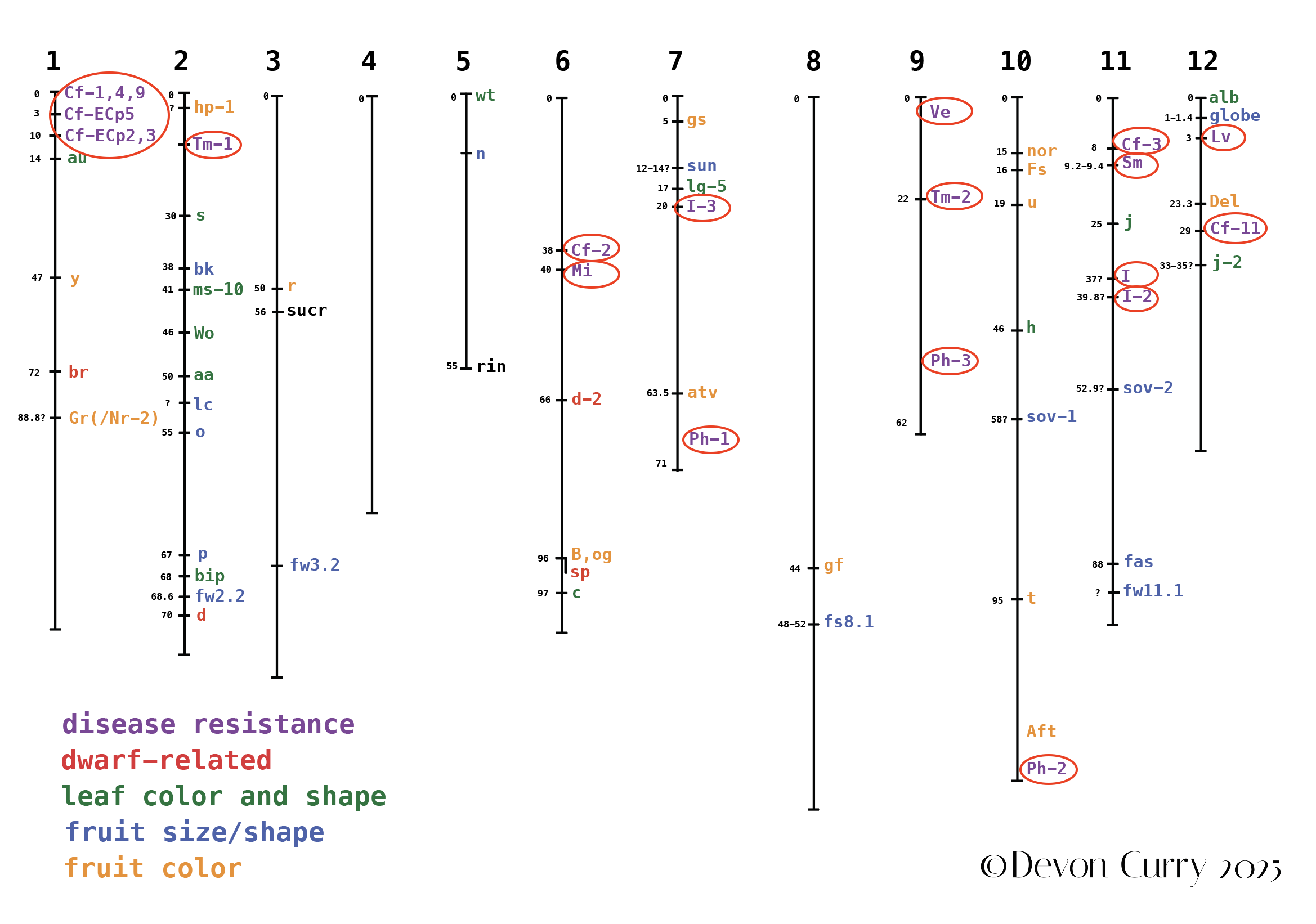 Disease Resistance.png