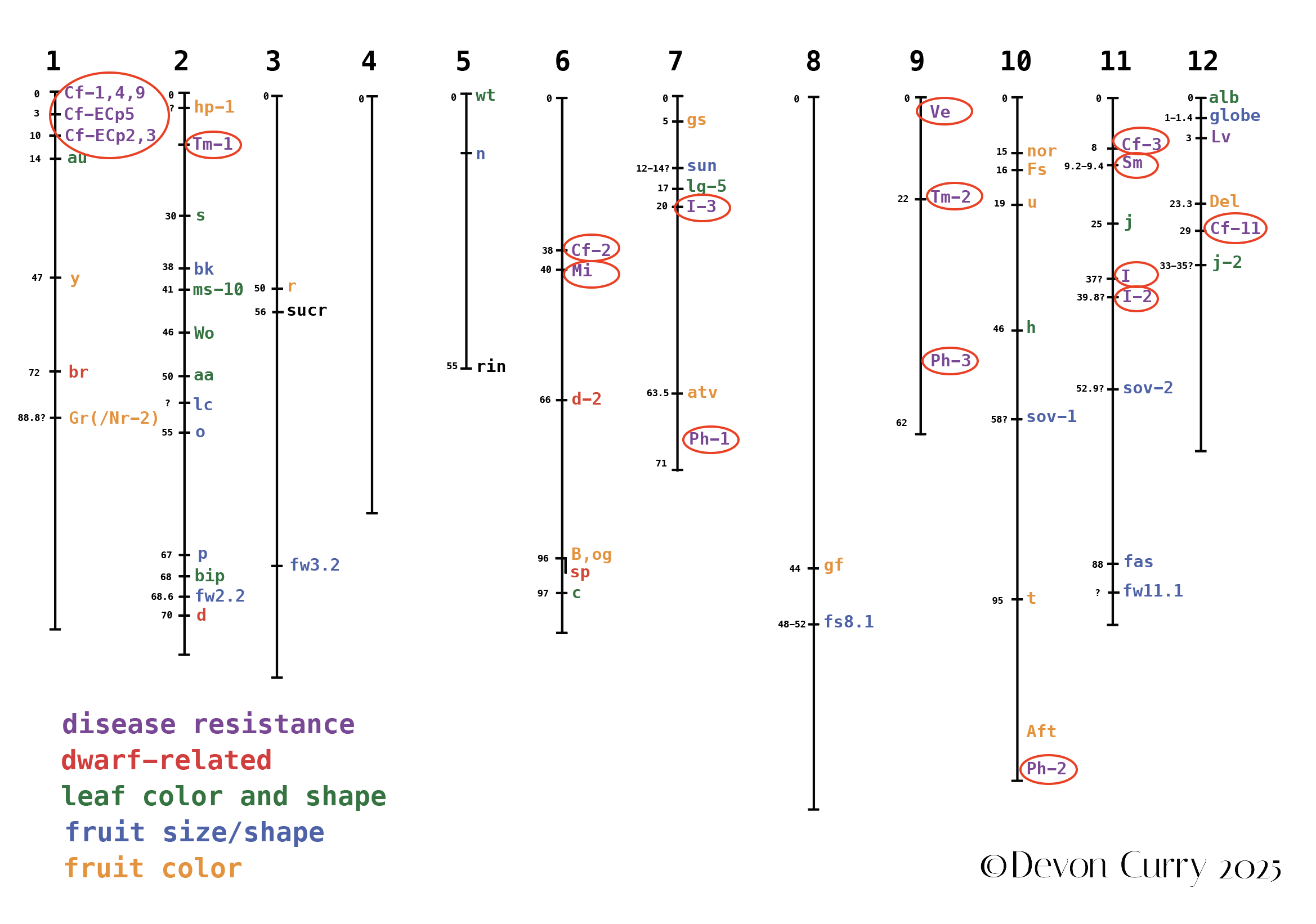 Disease Resistance Genes