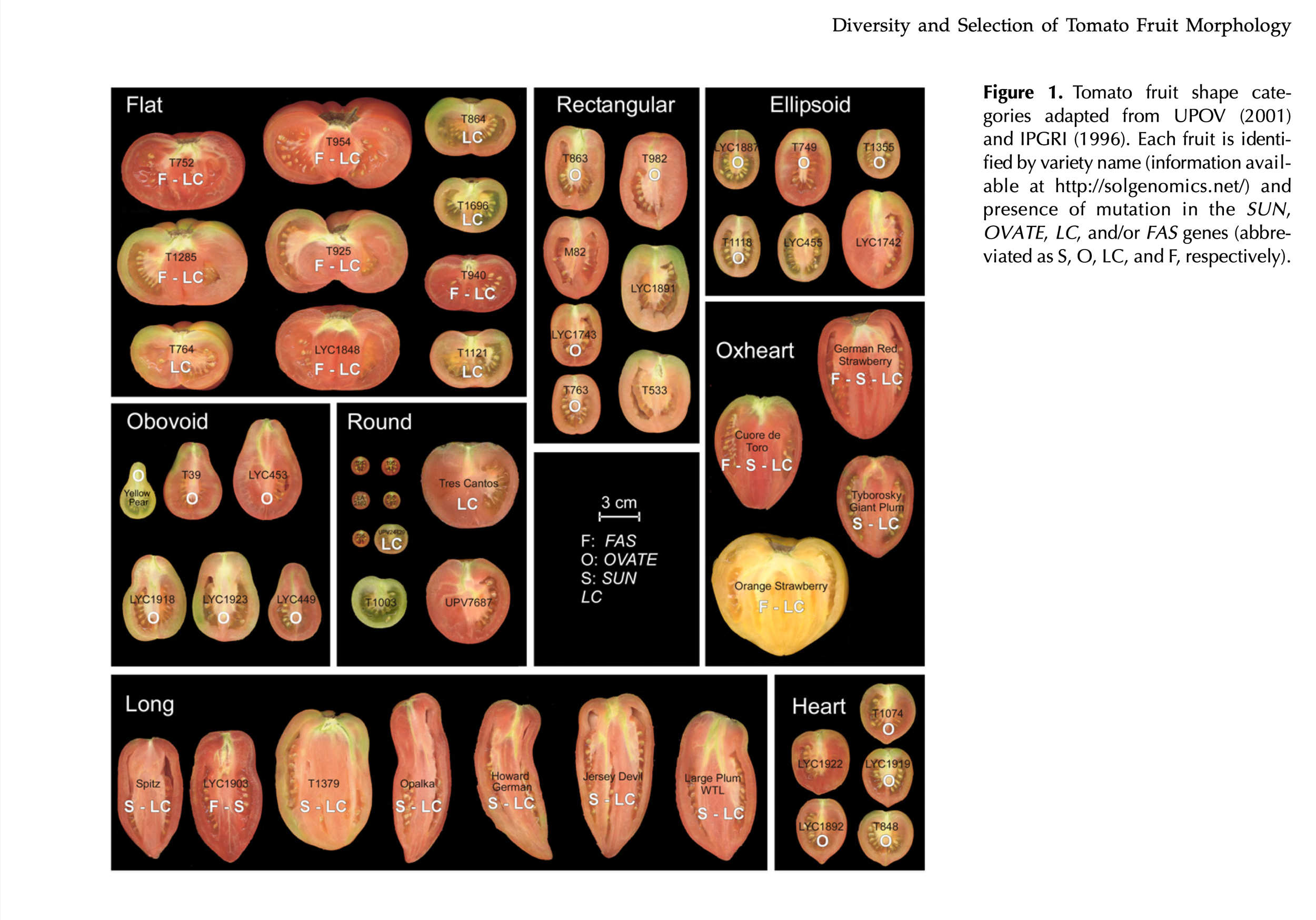 Plant Physiology, Volume 156, Issue 1, May 2011, Pages 275-285,.png