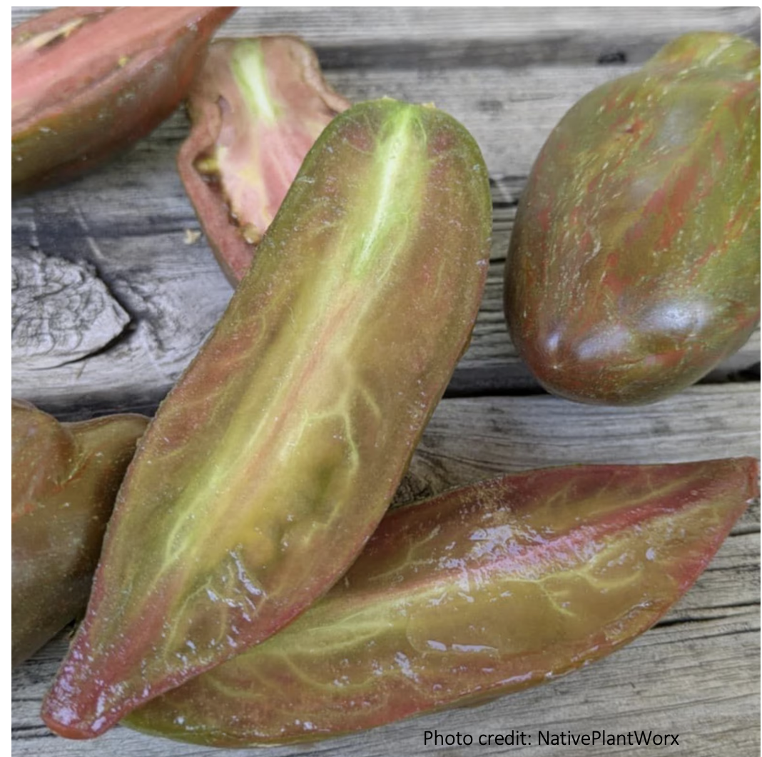 Besides adapting varieties to your taste and climate, saving your own seeds also ensures that you keep growing the exact variety you want, as long as you keep careful records yourself. 
