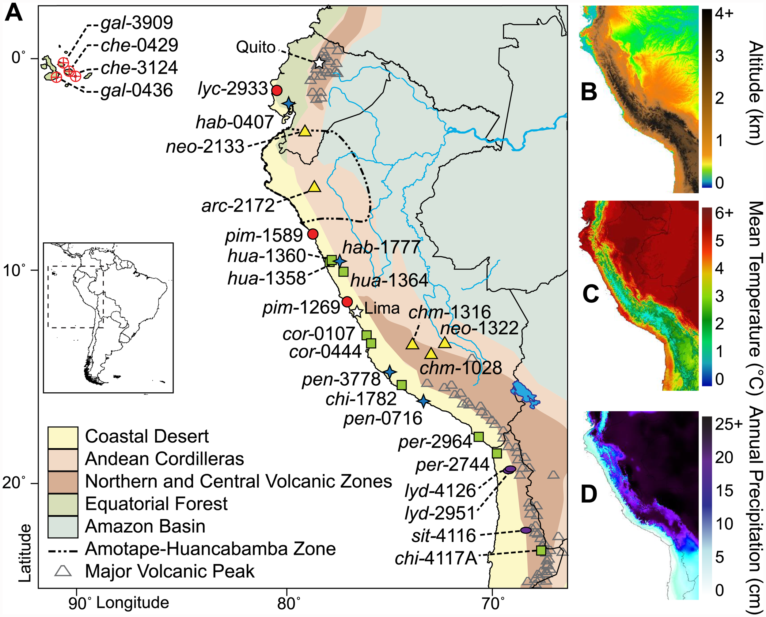 This is where tomatoes came from, and there are still wild relatives living there to this day. (the little shapes on the map)

For any plant it is useful to know where it came from, it’s original environment, the conditions it evolved in, adapted to.