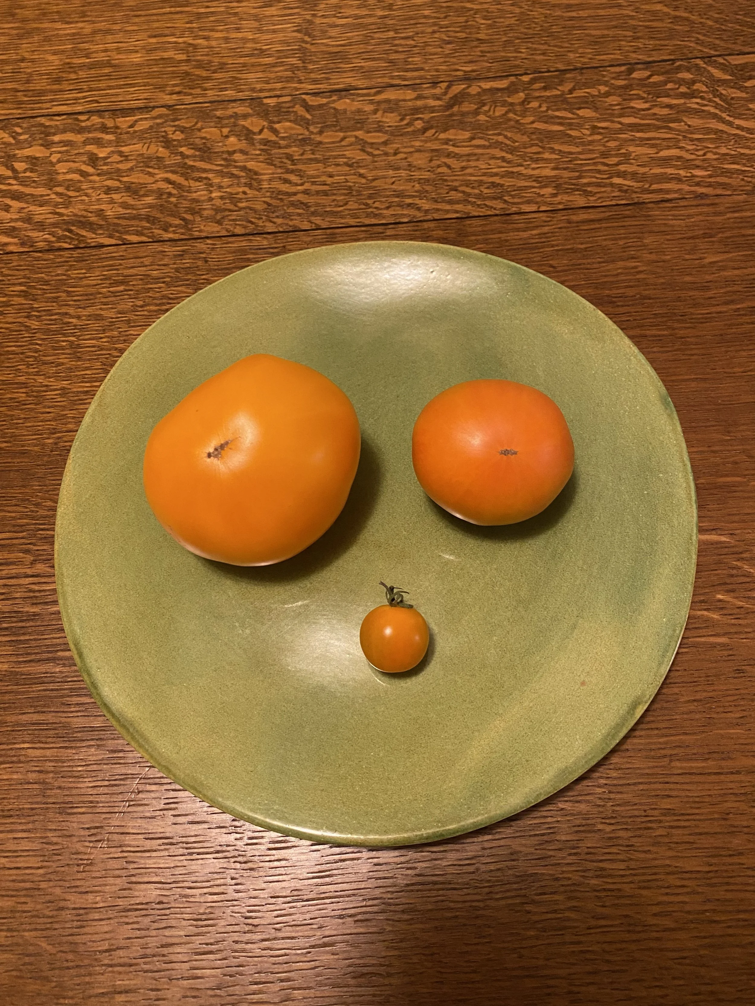 Moonglow x KBX is double recessive for the tangerine orange gene, and will make a good base for finding an especially round potato-leaf tangerine orange tomato, an important step in the project. 