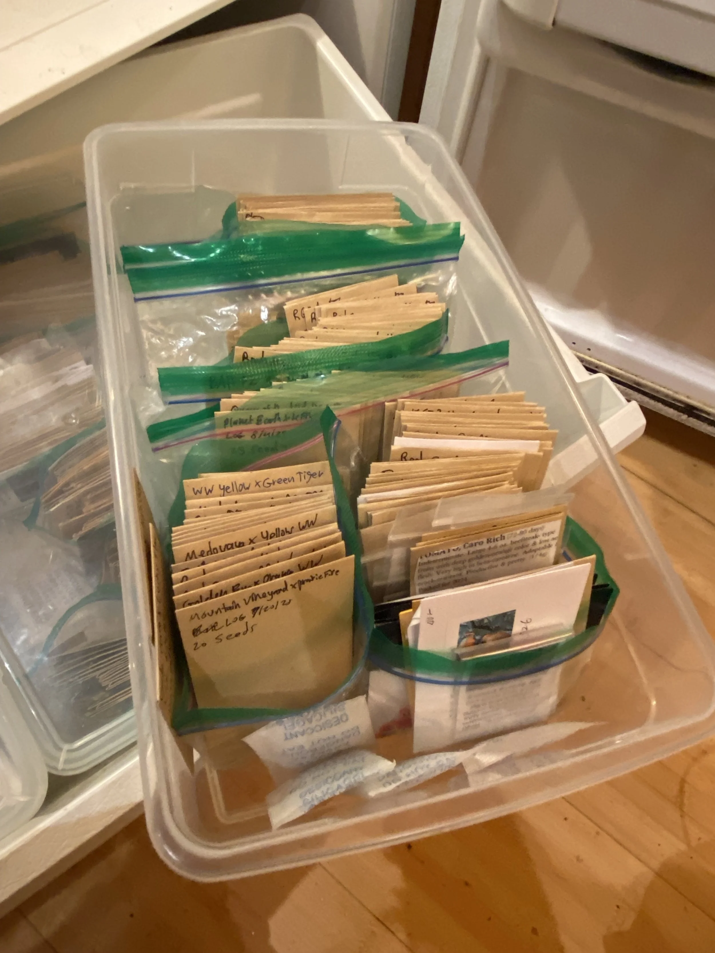 Seeds like to be cold and DRY, I store them in paper envelopes in a tupperware with desiccant packs in the fridge. 