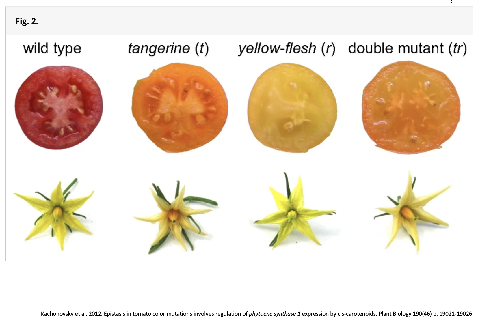 Screenshot 2026-03-20 at 11.12.38 PM.png