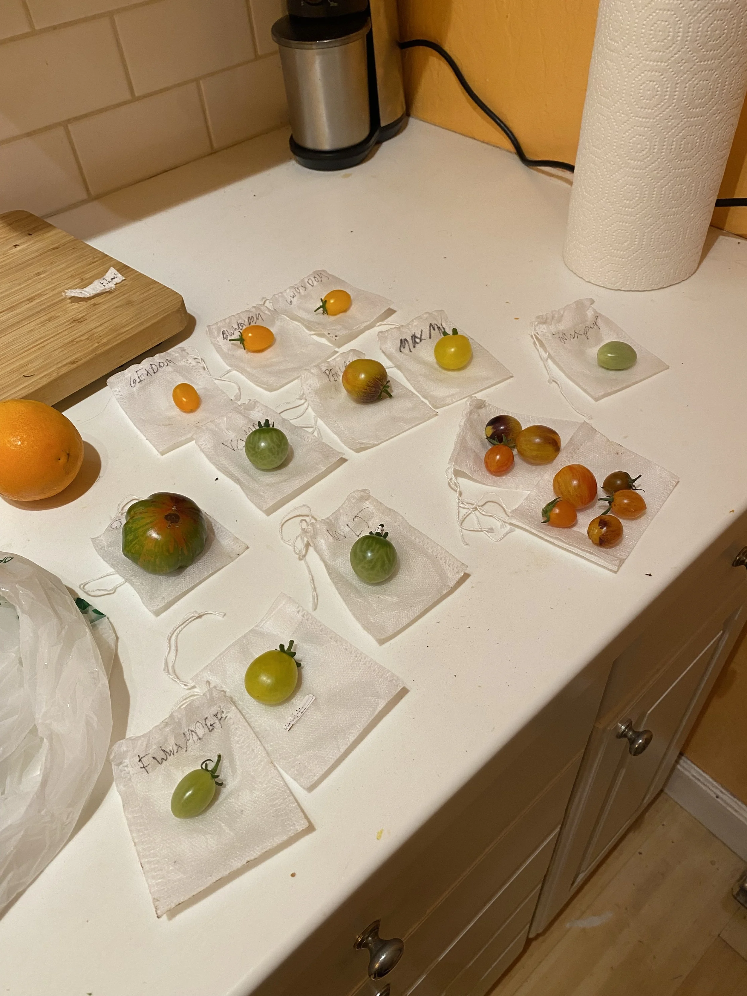 Putting tea bags around fruit as they develop helps keep track of them and limits loss. 