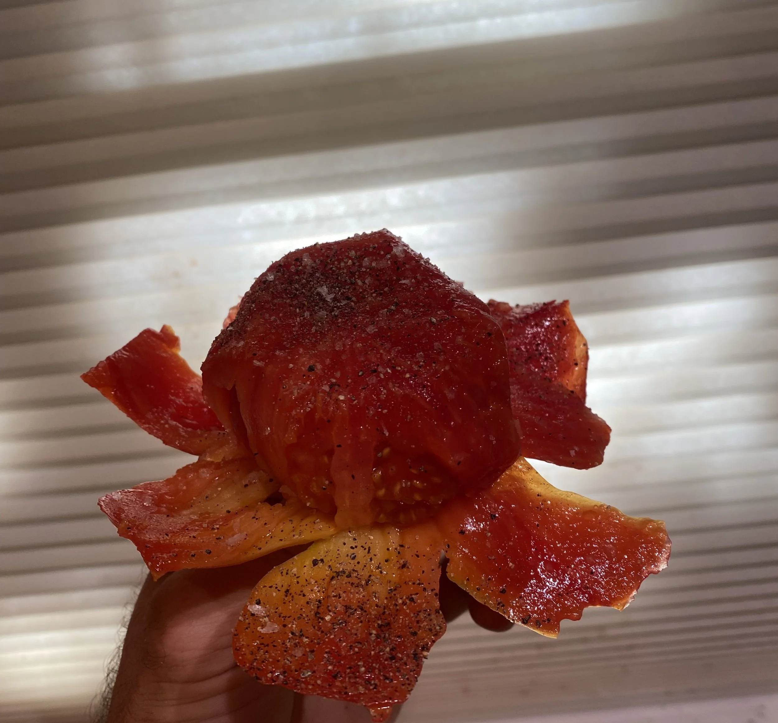 We Suffer For Beauty