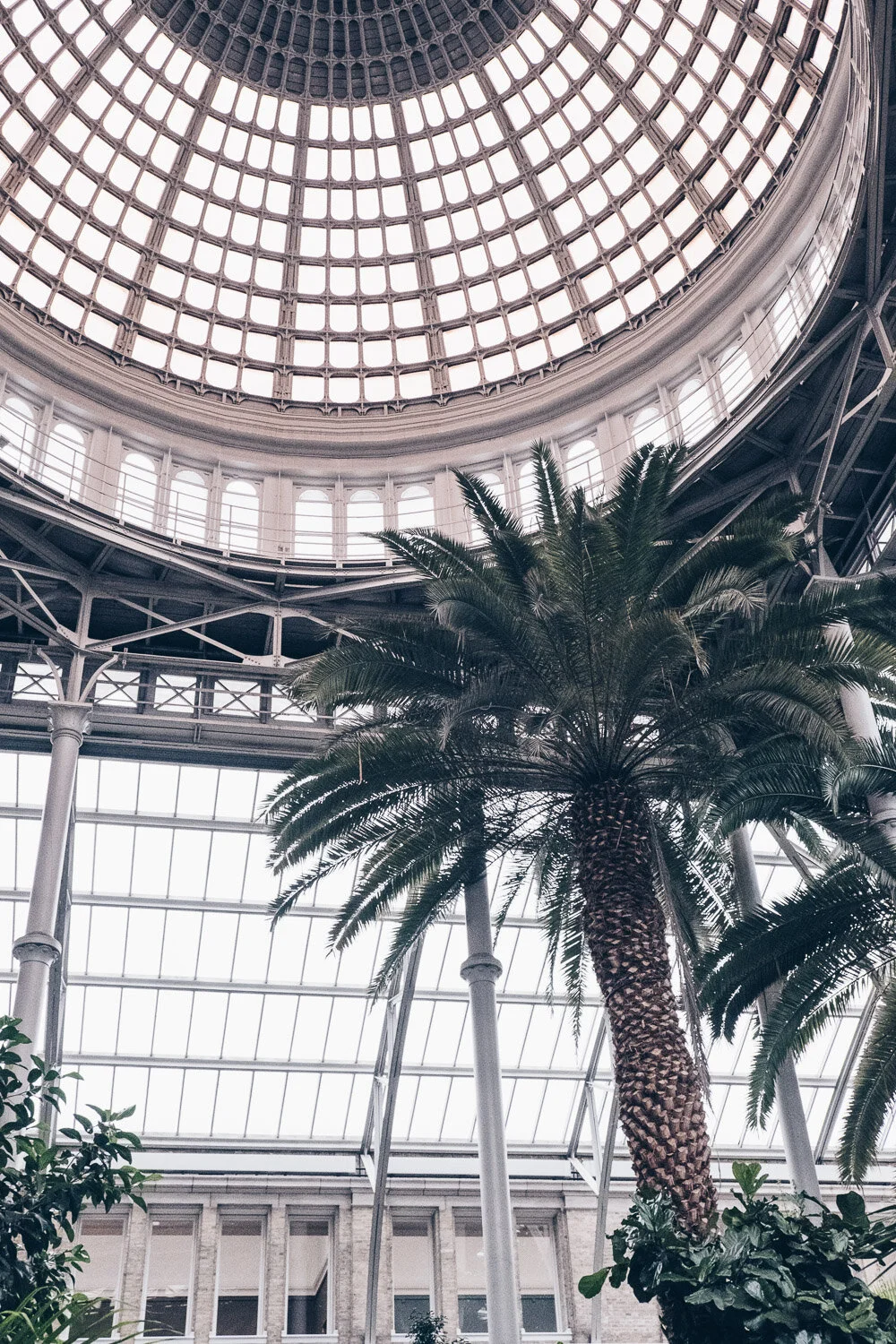 Ny Carlsberg Glyptotek, Copenhagen - by Anastasiya Creative_00023.jpg