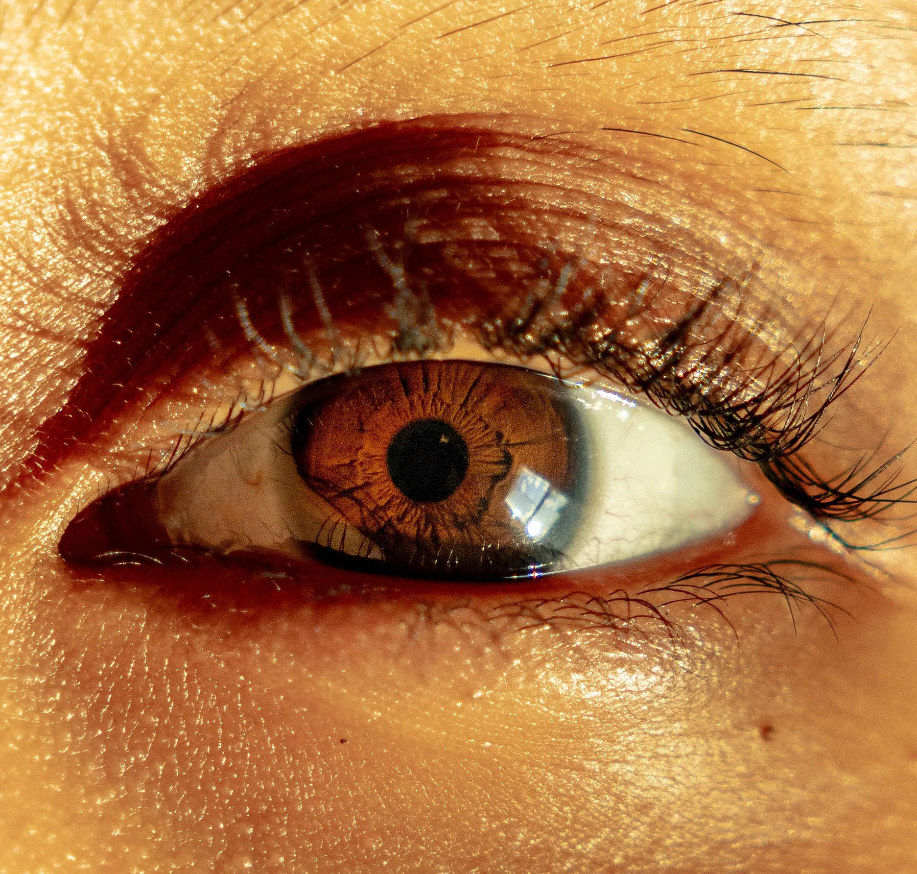 Close-up of a human eye with brown iris, detailed eyelashes, and surrounding skin texture.