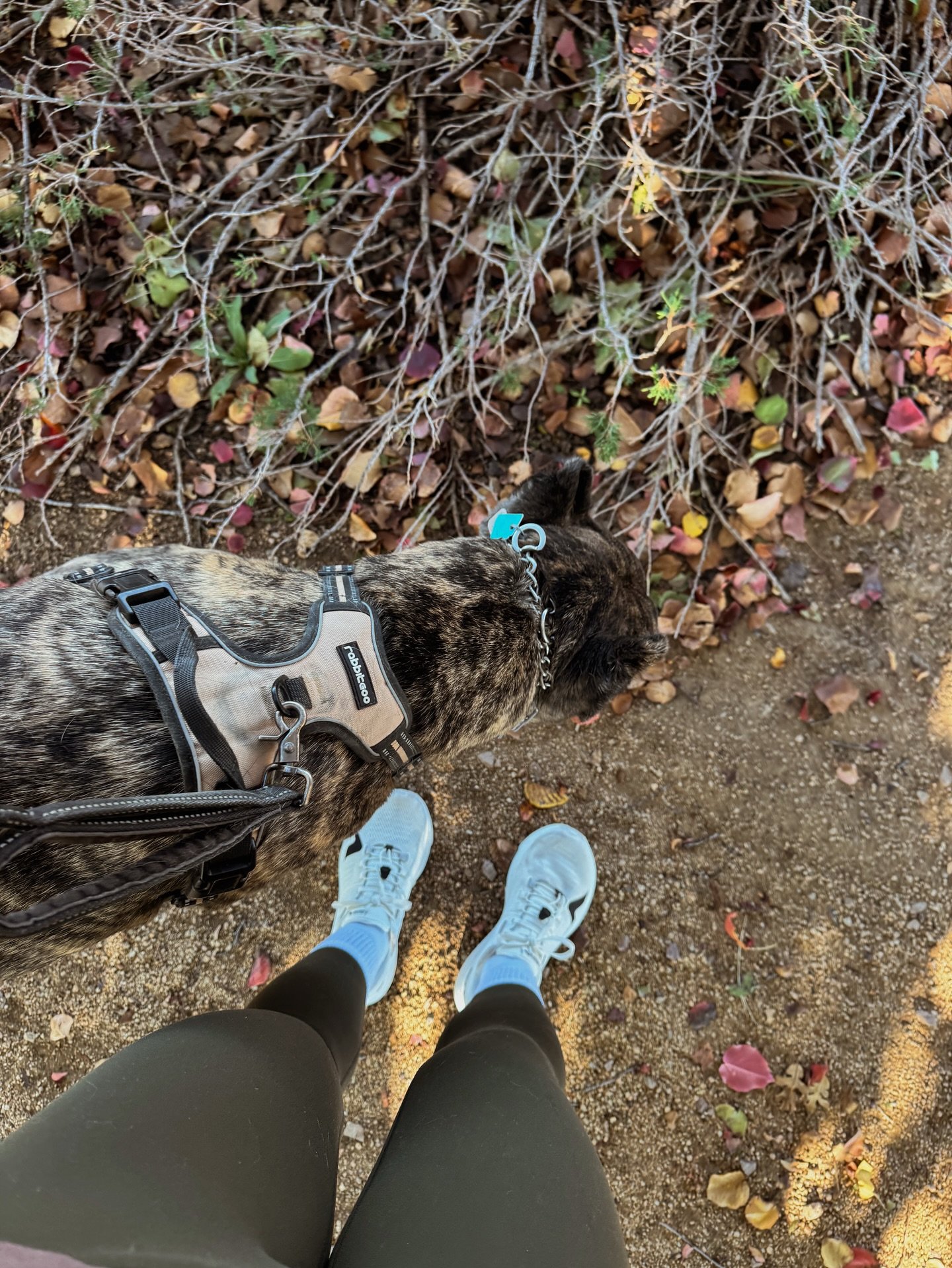 I&rsquo;ve been loving some time off social lately &mdash; slowing down, leaning into faith, family and fitness. 🍂✨
This season has reminded me that every chapter comes with different energy and different output. Some seasons are softer, some are fu