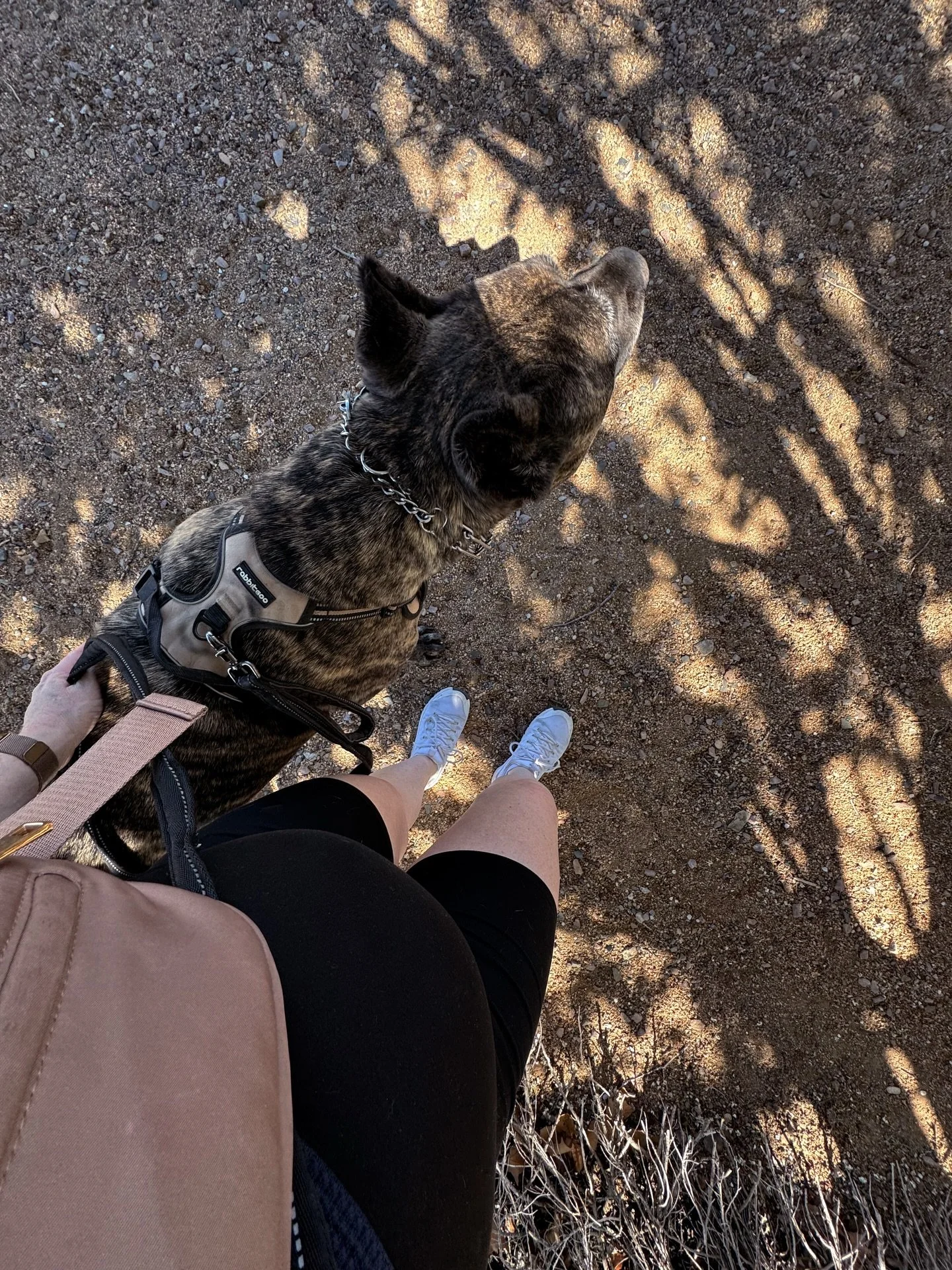 25 weeks &mdash; and I truly don&rsquo;t understand how I can possibly get any bigger&hellip; 🙈 Watching my body change this fast is the wildest experience.

This pregnancy I&rsquo;ve been focusing less on intensity and more on consistency, simplici