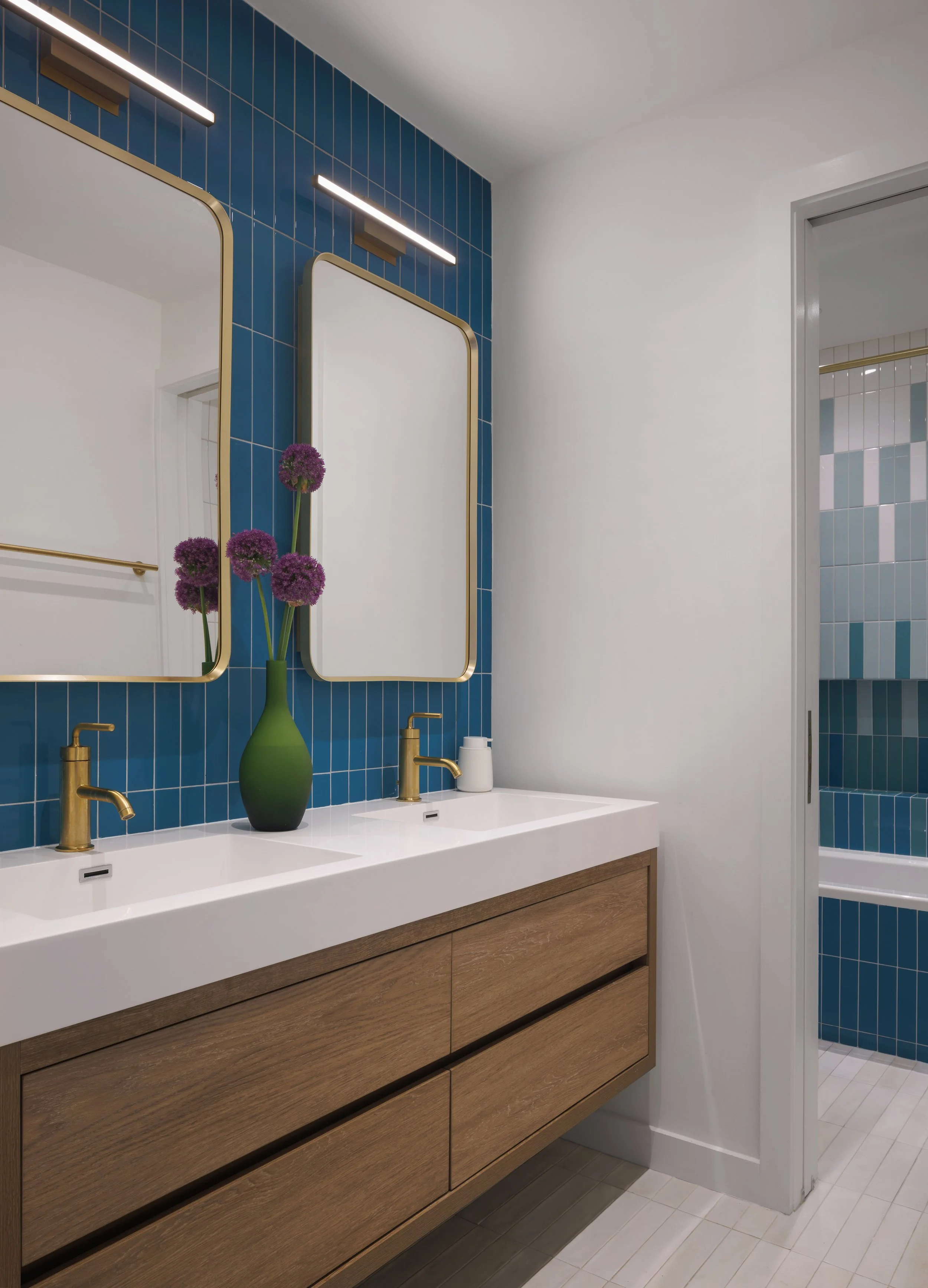 Windsor Terrace Extension (14).jpg