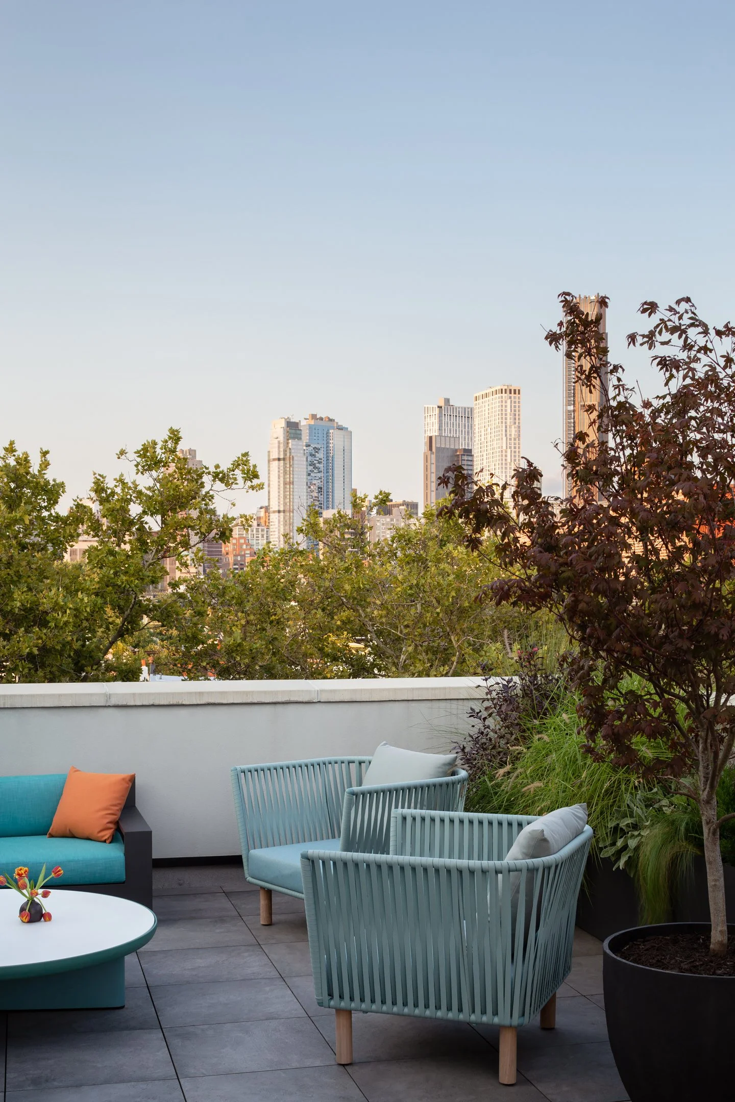 Carroll Gardens Five Story House (28).jpg