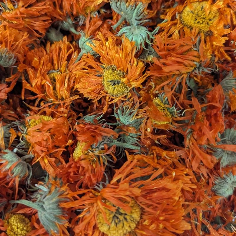Calendula Mango Butter Balm
