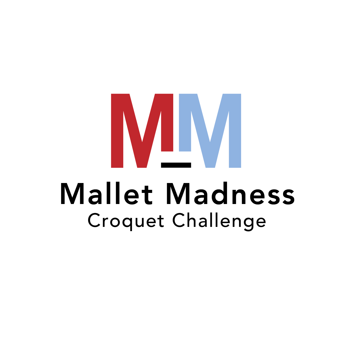 Mallet Madness Croquet Challenge
