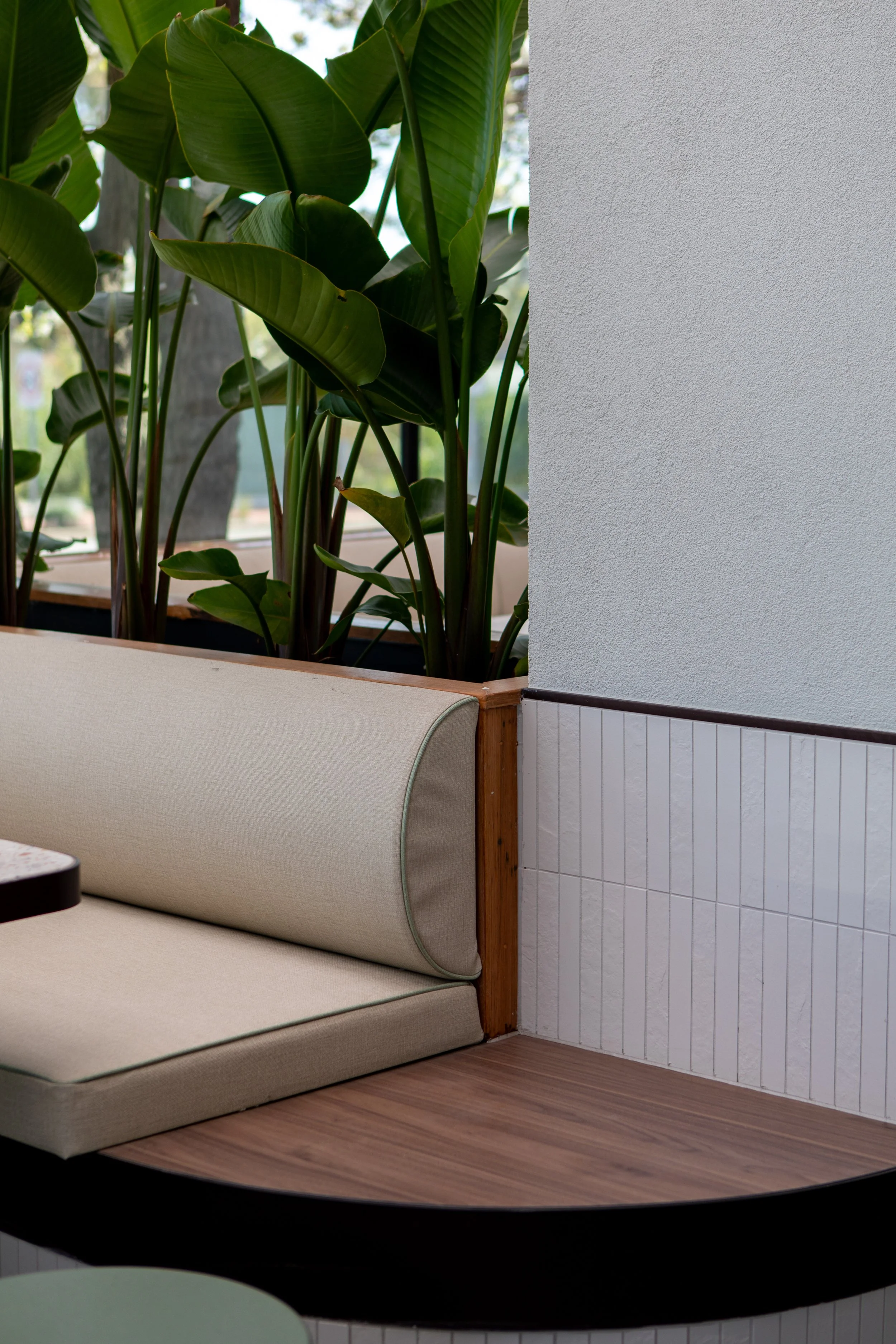 Interior scene with a beige upholstered bench next to a white textured wall, with large green indoor plants in the background near a window.