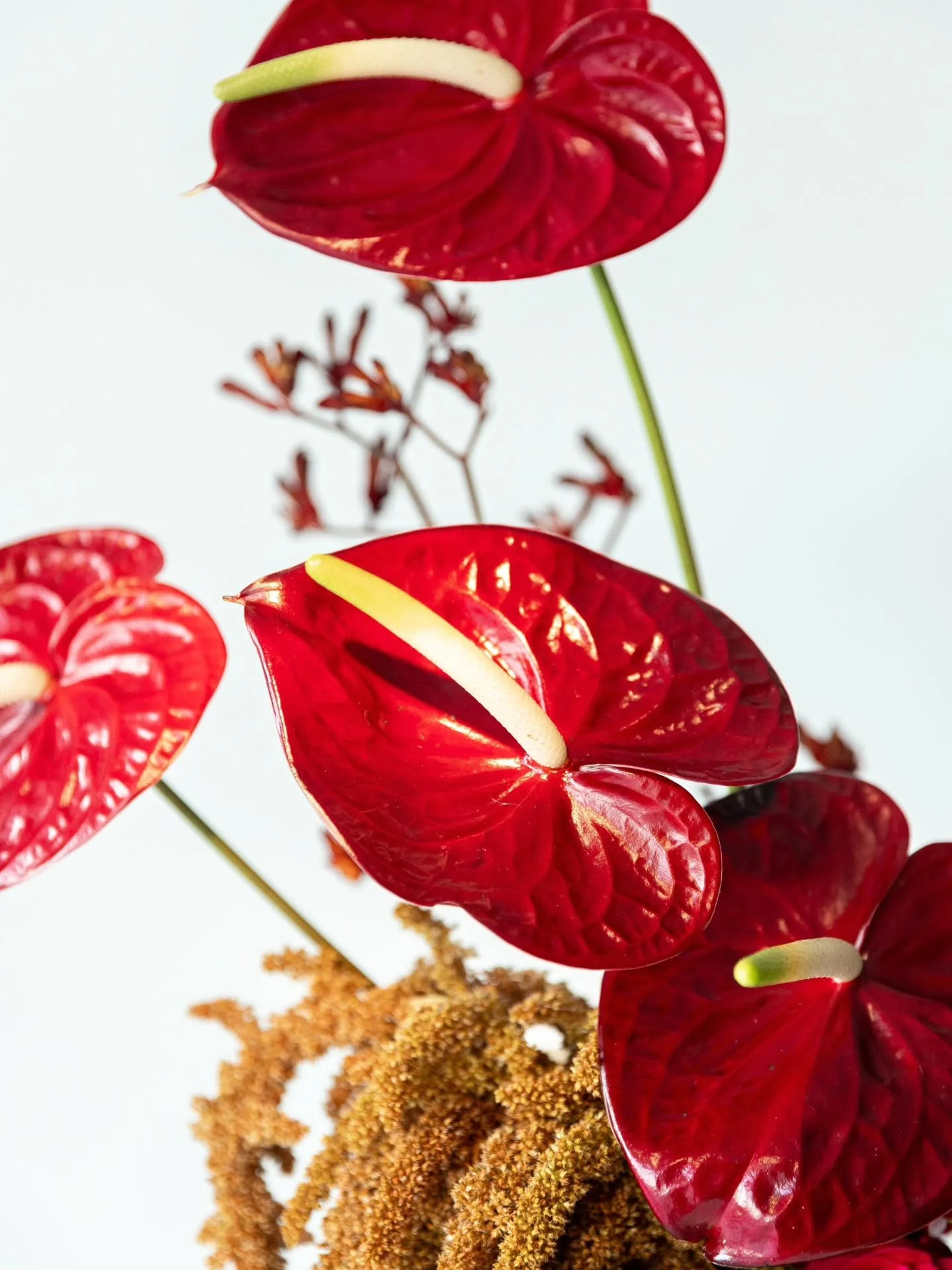 We cherish the art of turning special moments into timeless memories, adorned with the beauty of flowers.