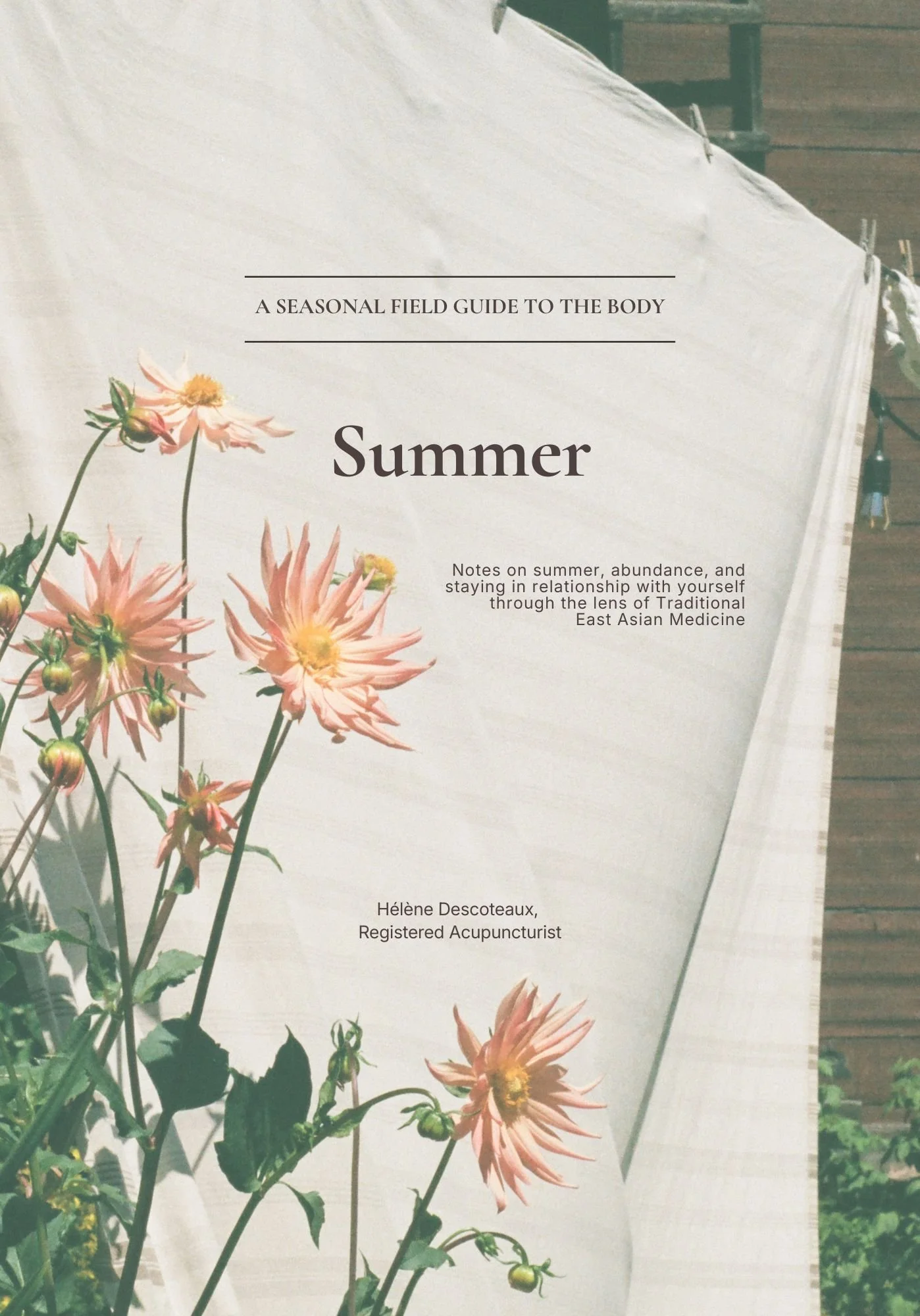 A Seasonal Field Guide: Summer