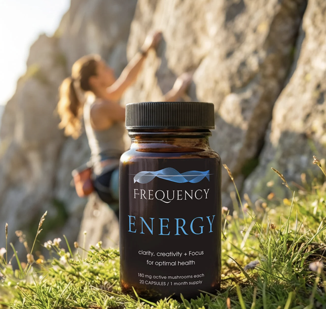 Screenshot 1404-11-29 at 3.20.59 PM.png