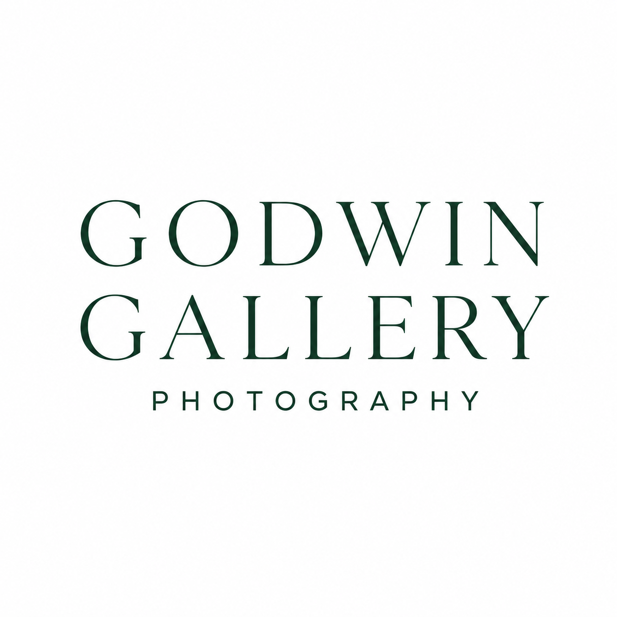 godwingallery.com