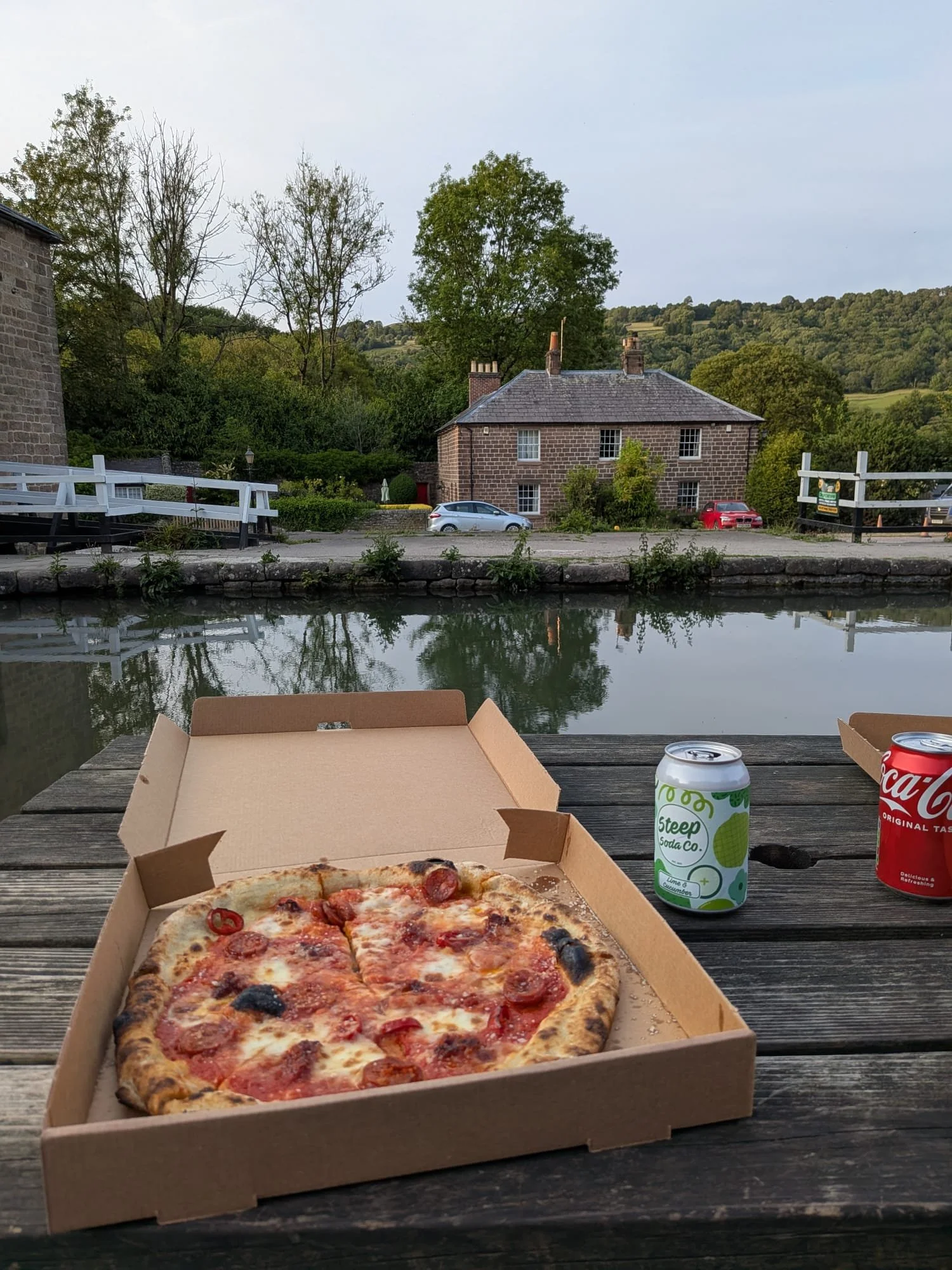 Rest &amp; Recovery for Morgan - Pizza and growing her first lot of tomatoes.