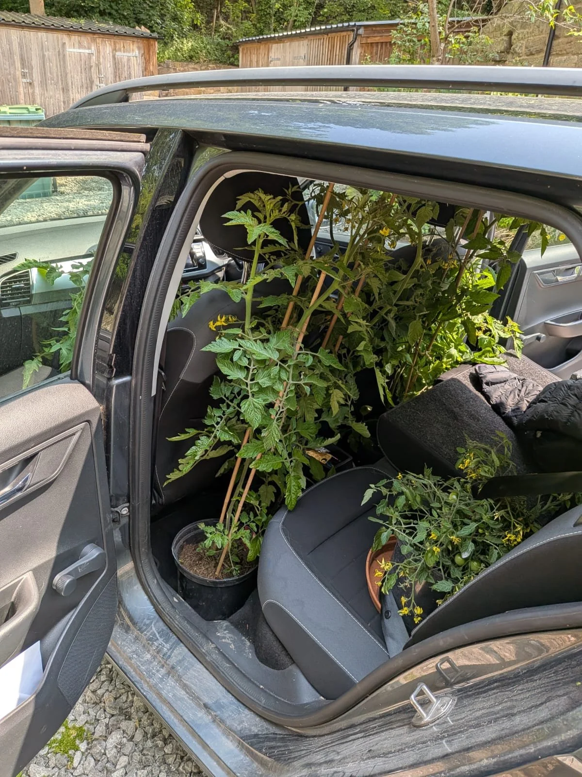 WhatsApp Image 2025-12-03 at 19.12.26 (1).jpeg