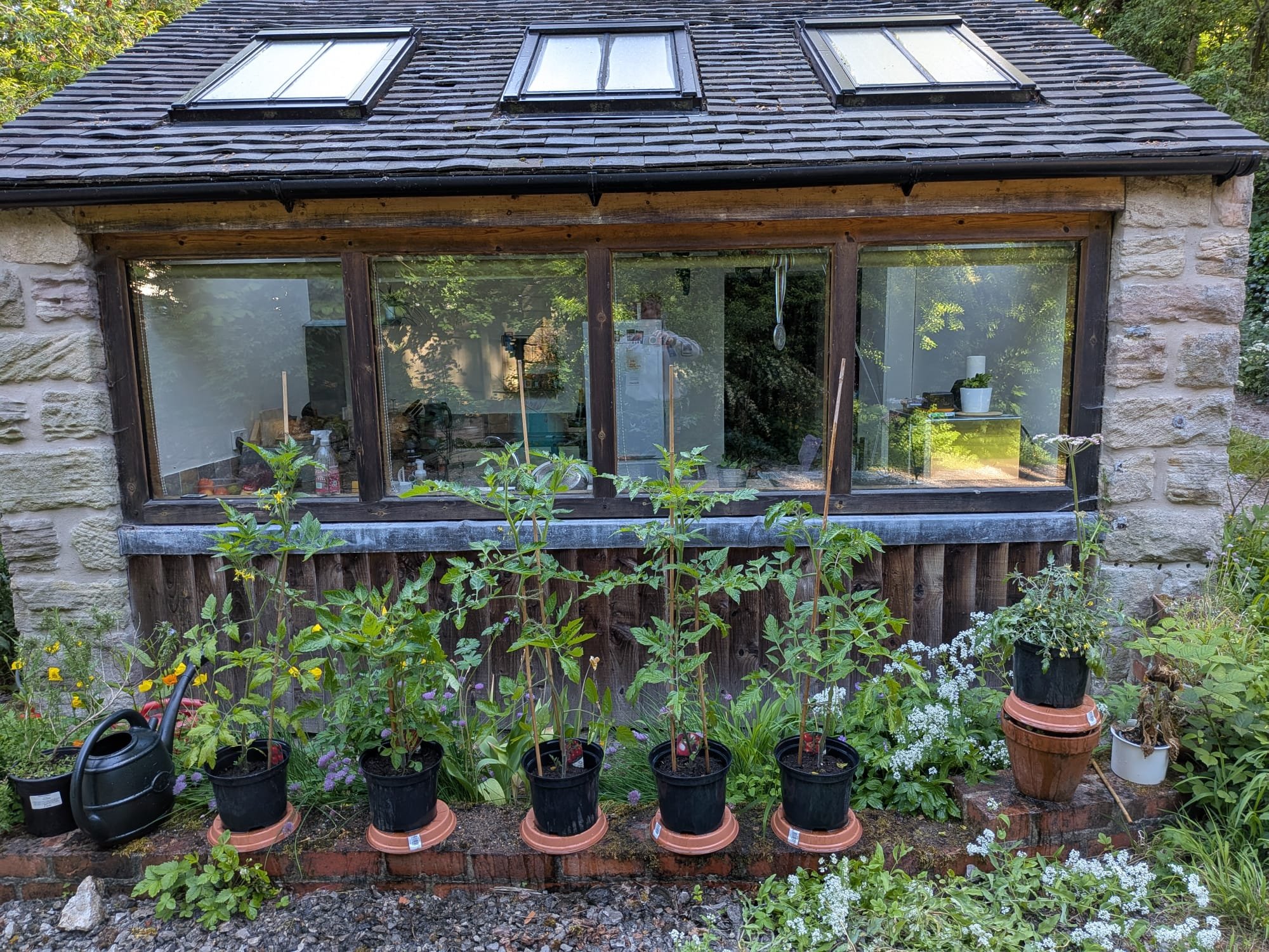 WhatsApp Image 2025-12-03 at 19.12.26.jpeg