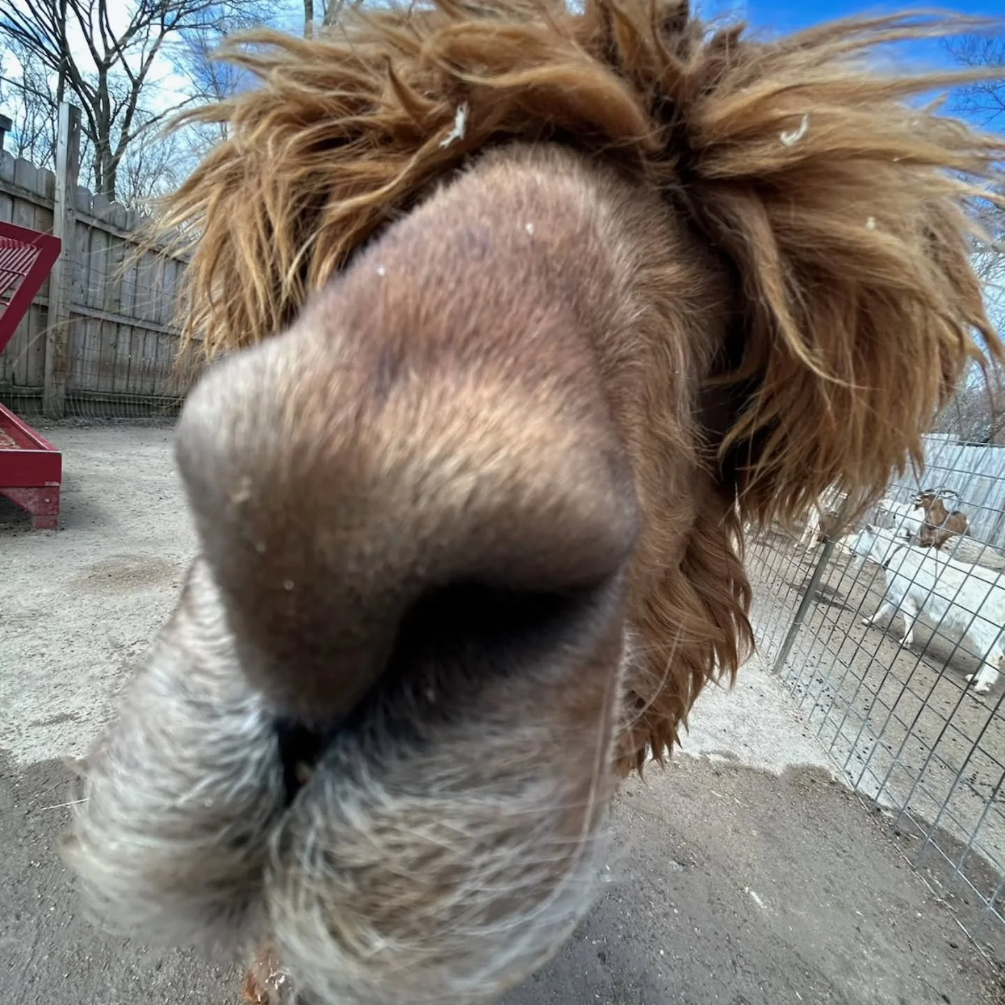 🇺🇸 Happy Veterans Day 🇺🇸
Today and every day, we honor the brave men and women who have served our country with courage, dedication, and heart. ❤️
Your sacrifices protect the freedoms we cherish, and we are forever grateful.

From all of us here 