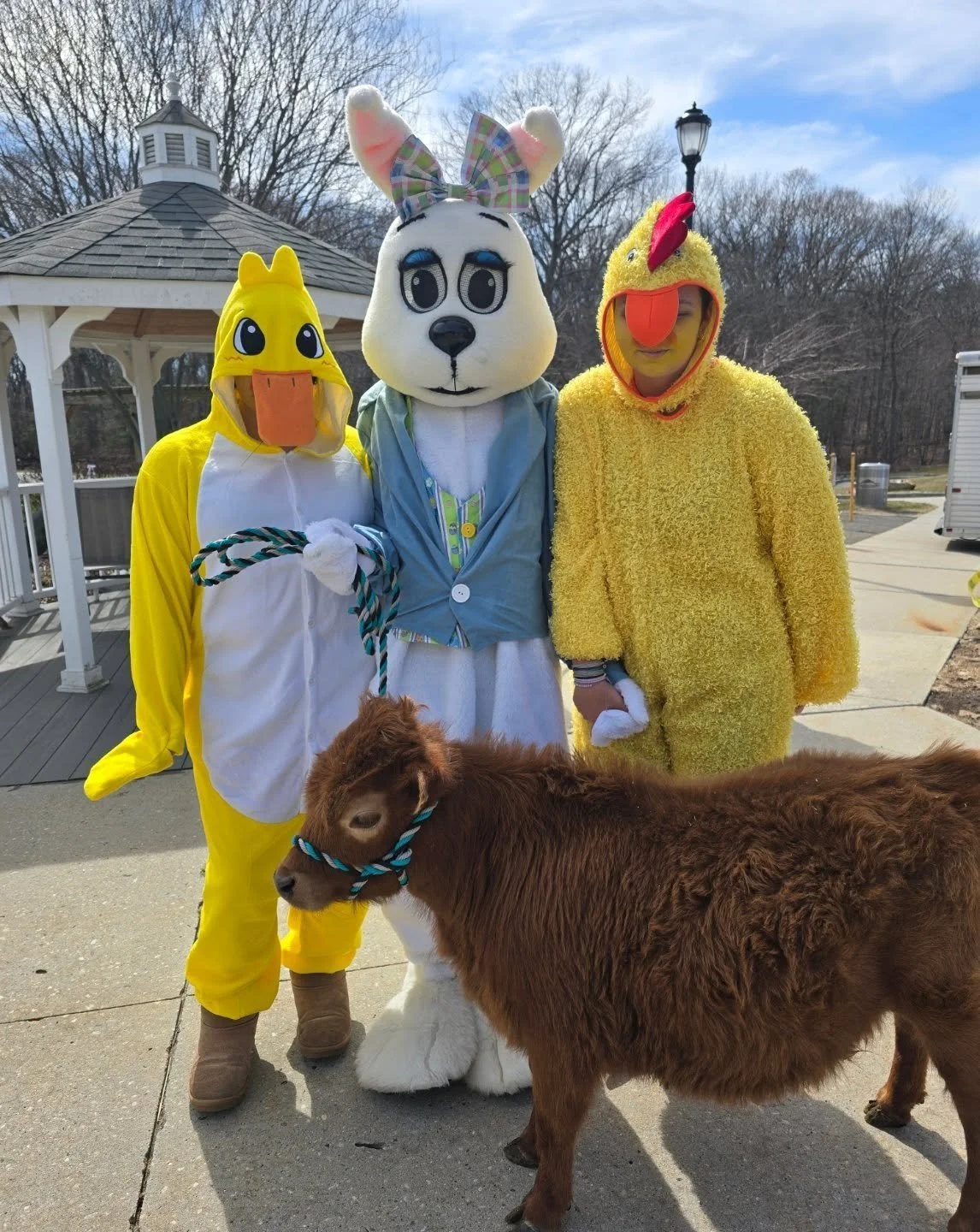 Today was full of springtime magic 💐🐰
Our sweet baby cow Mabel had the most adorable day meeting the Easter Bunny&mdash;plus his fluffy little duck friends! 🐥💛 She soaked up all the love (and attention, of course) during our visit to the wonderfu