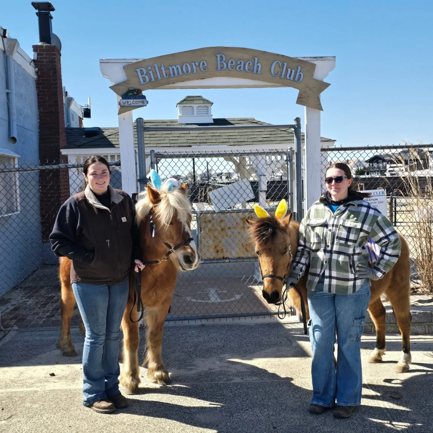 Another amazing year at the Biltmore Beach Club Easter event! 🐰🌸
We had so much fun bringing the animals out to celebrate with everyone&mdash;especially since many of them were sporting their adorable bunny ears today! 🐐🐑🐖🐰
So many smiles, laug