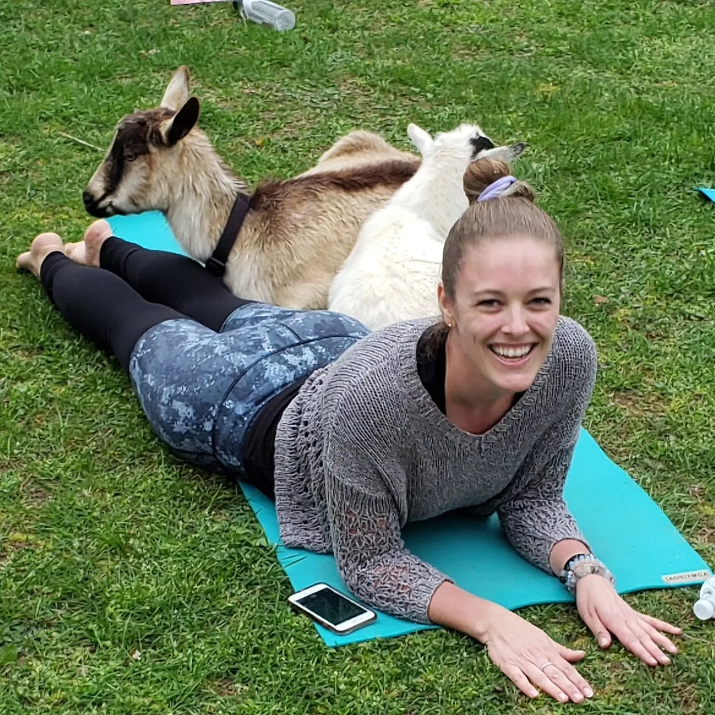 🌅🐐 Tonight is shaping up to be a beautiful evening for Goat Yoga!
Fresh air, adorable goats, plenty of laughs, and a chance to unwind in a beautiful setting&mdash;what more could you ask for?
Don't forget to grab your tickets before they're gone! W