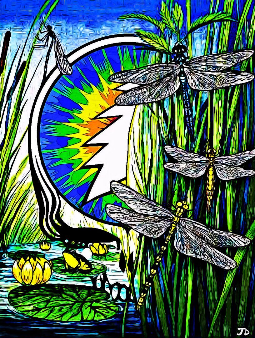 Dragon-Flies.jpg