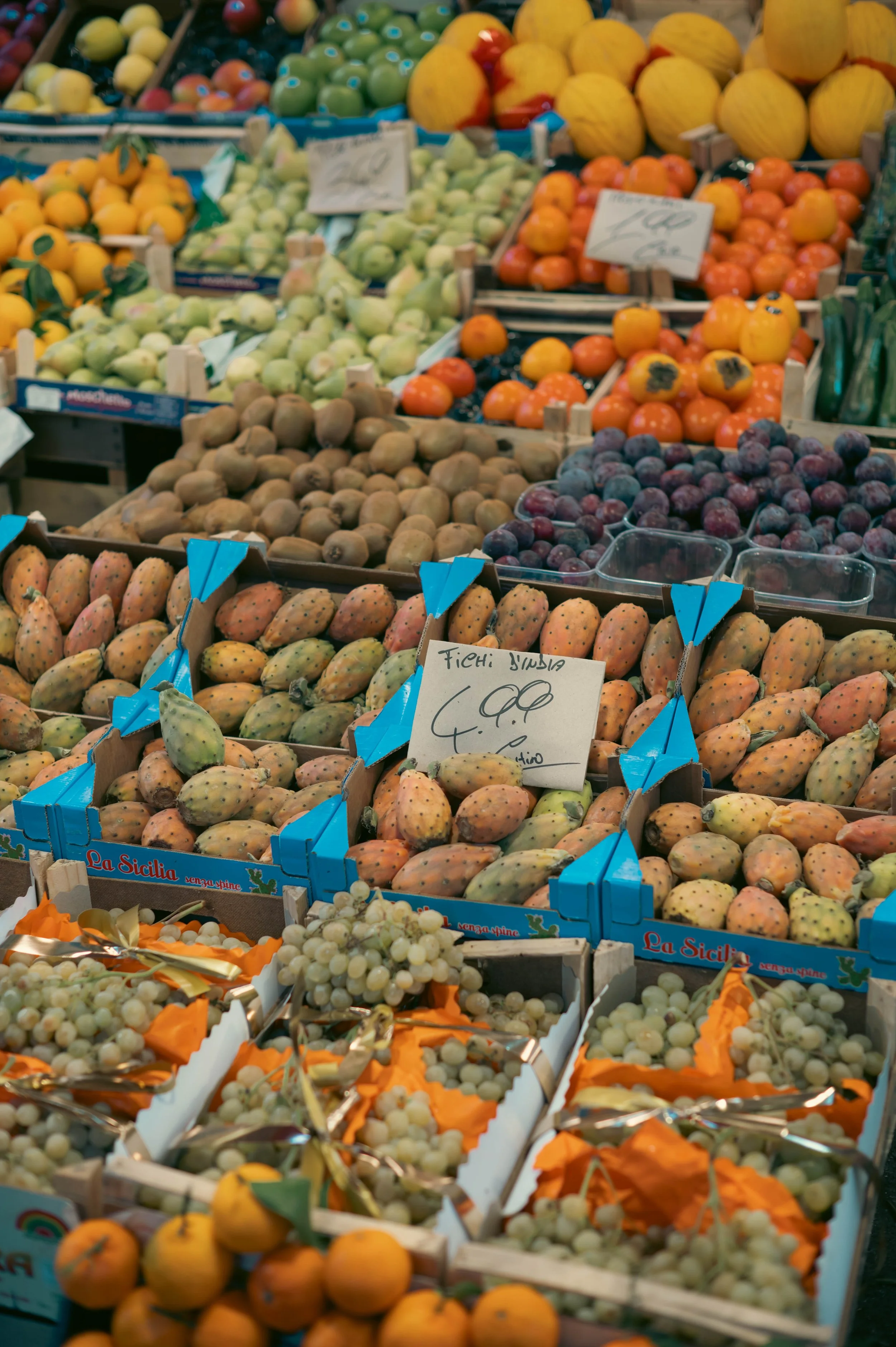 Sara Maiorino (3 of 4).jpg