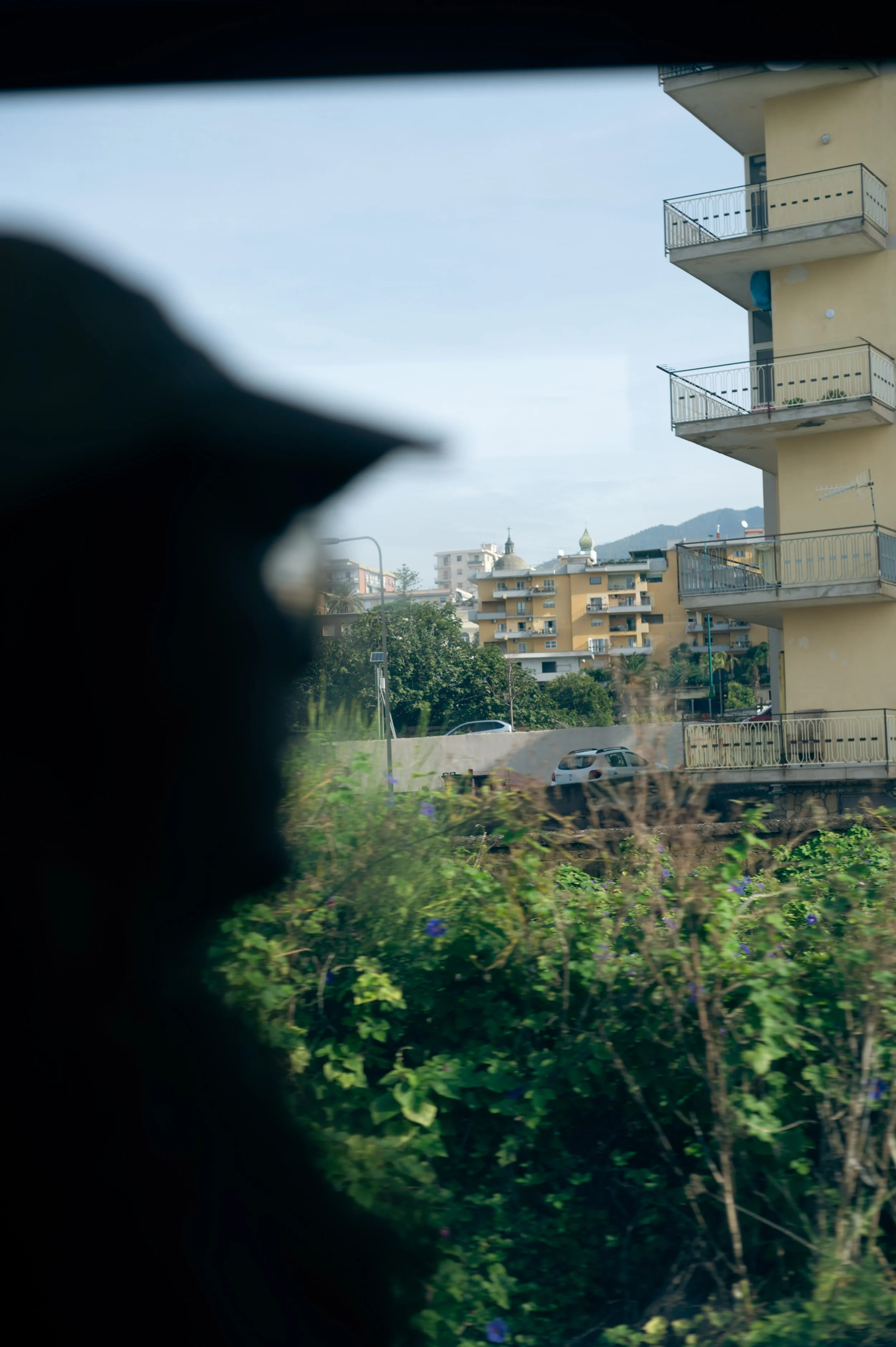 Sara Maiorino (1 of 4).jpg