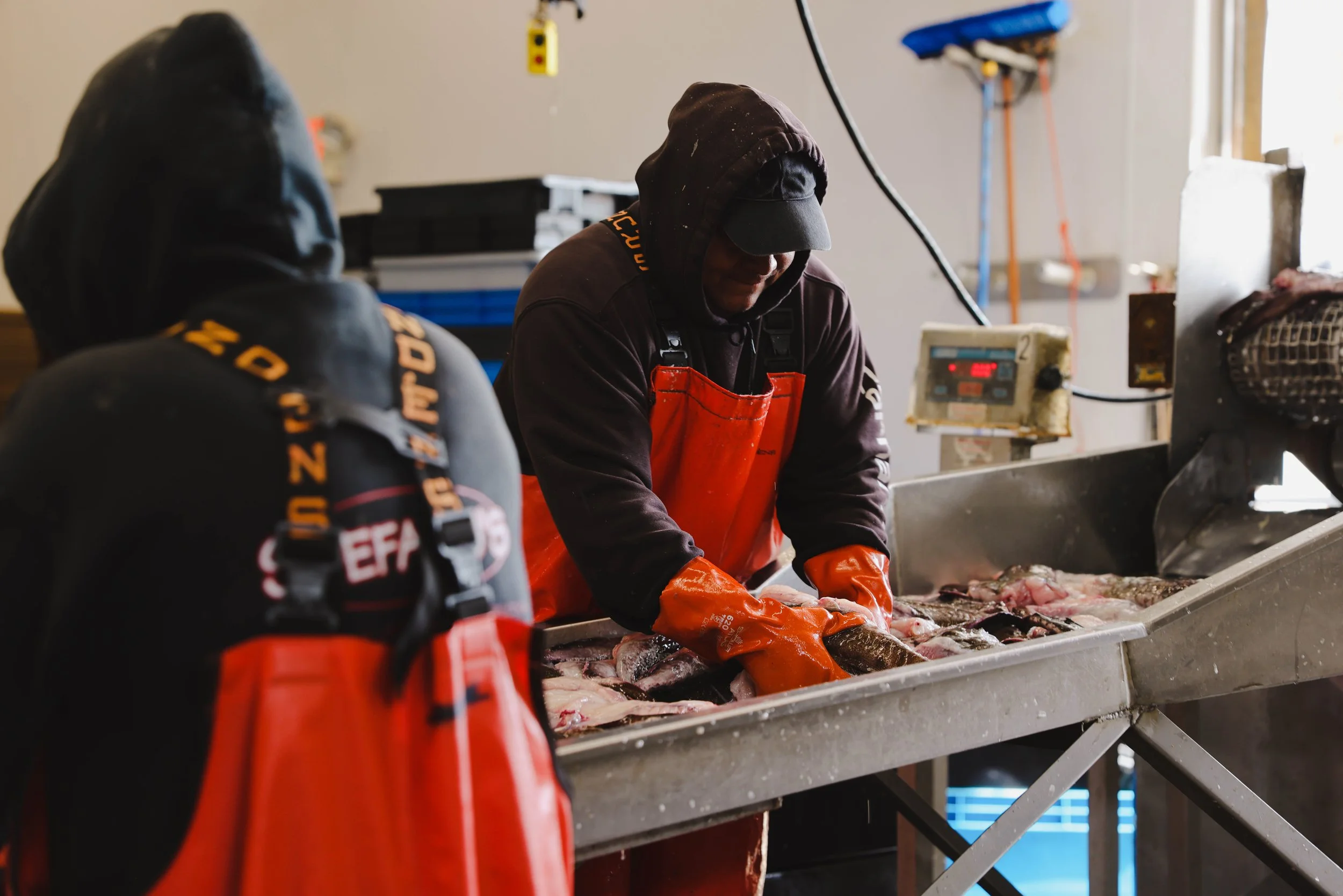 wellsptingtour -173.jpg