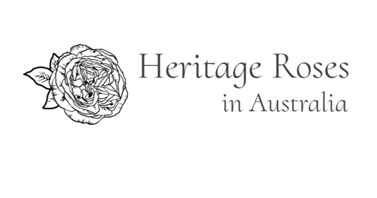 Heritage Roses Albany AGM