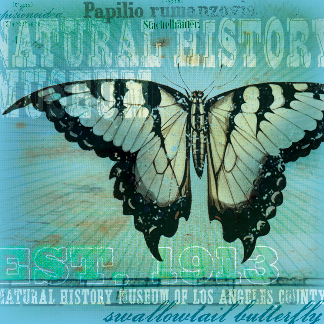 LANH_butterfly_magnet.png