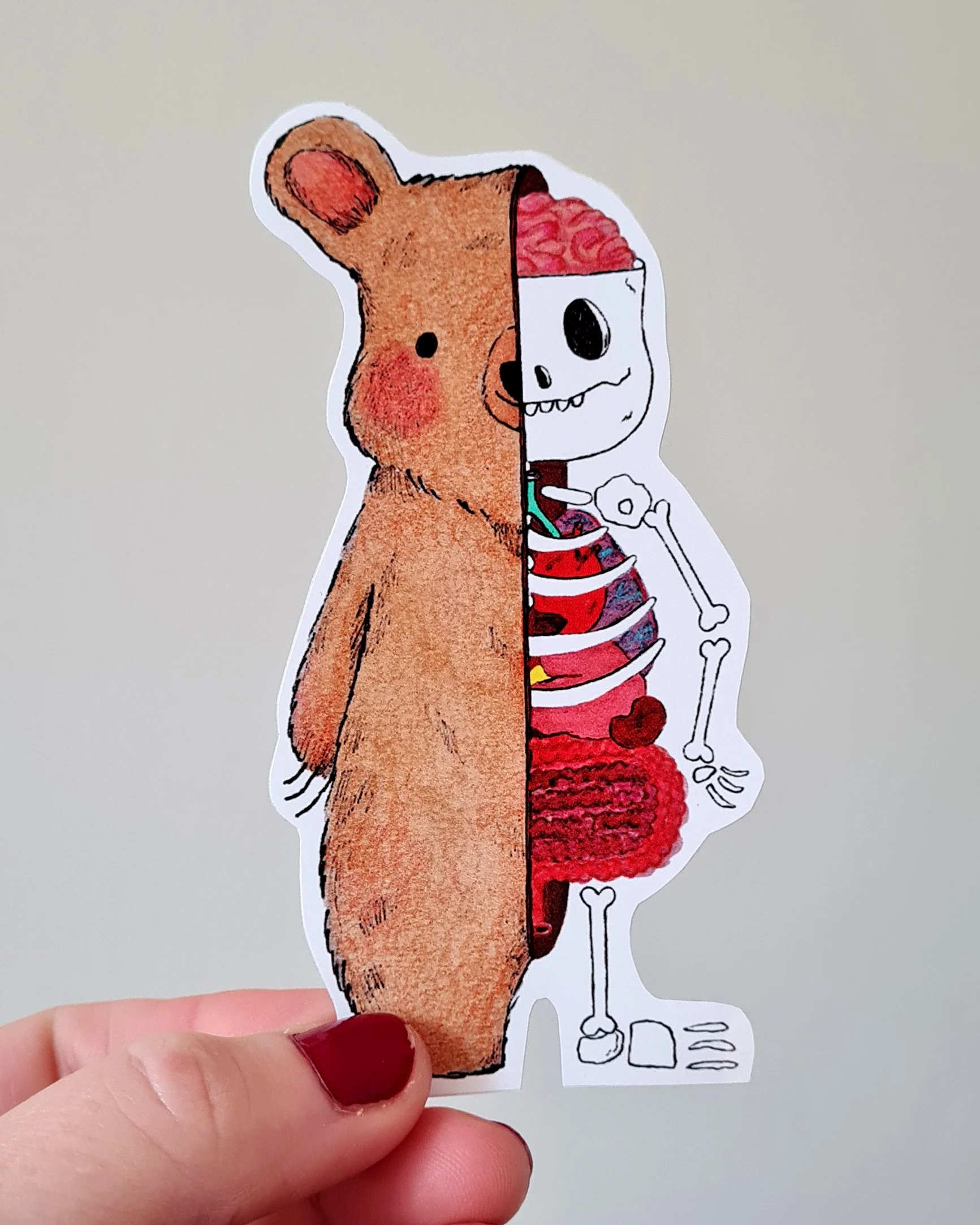 skeleton bear.jpg