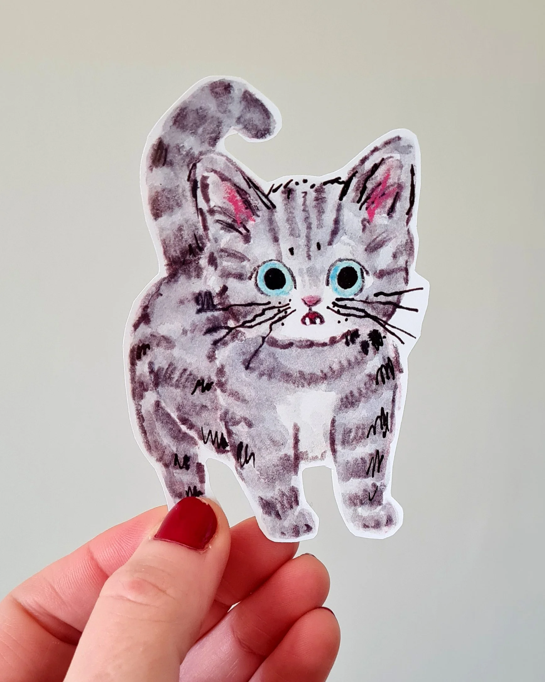 scared kitty.jpg
