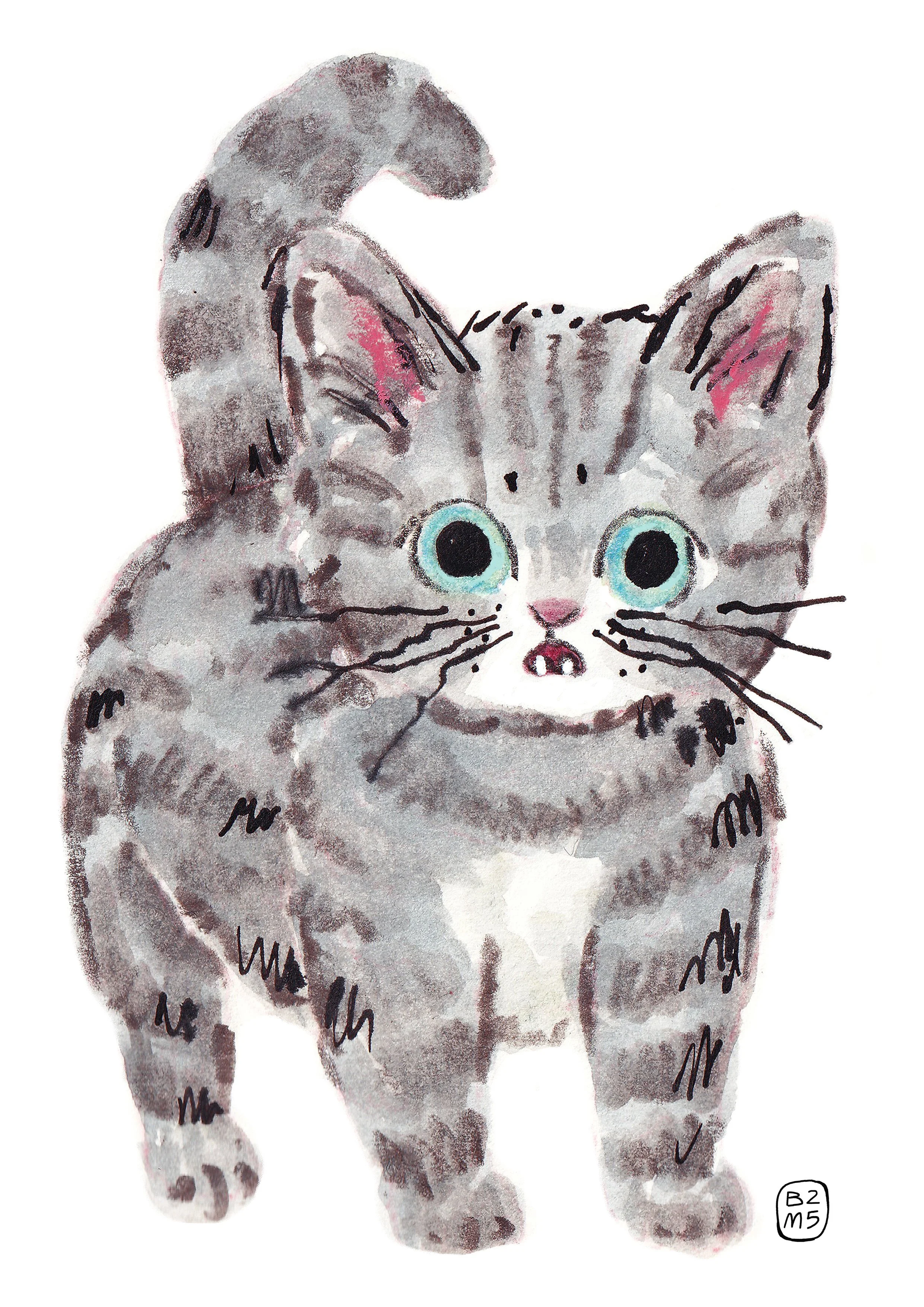 The frightened tabby