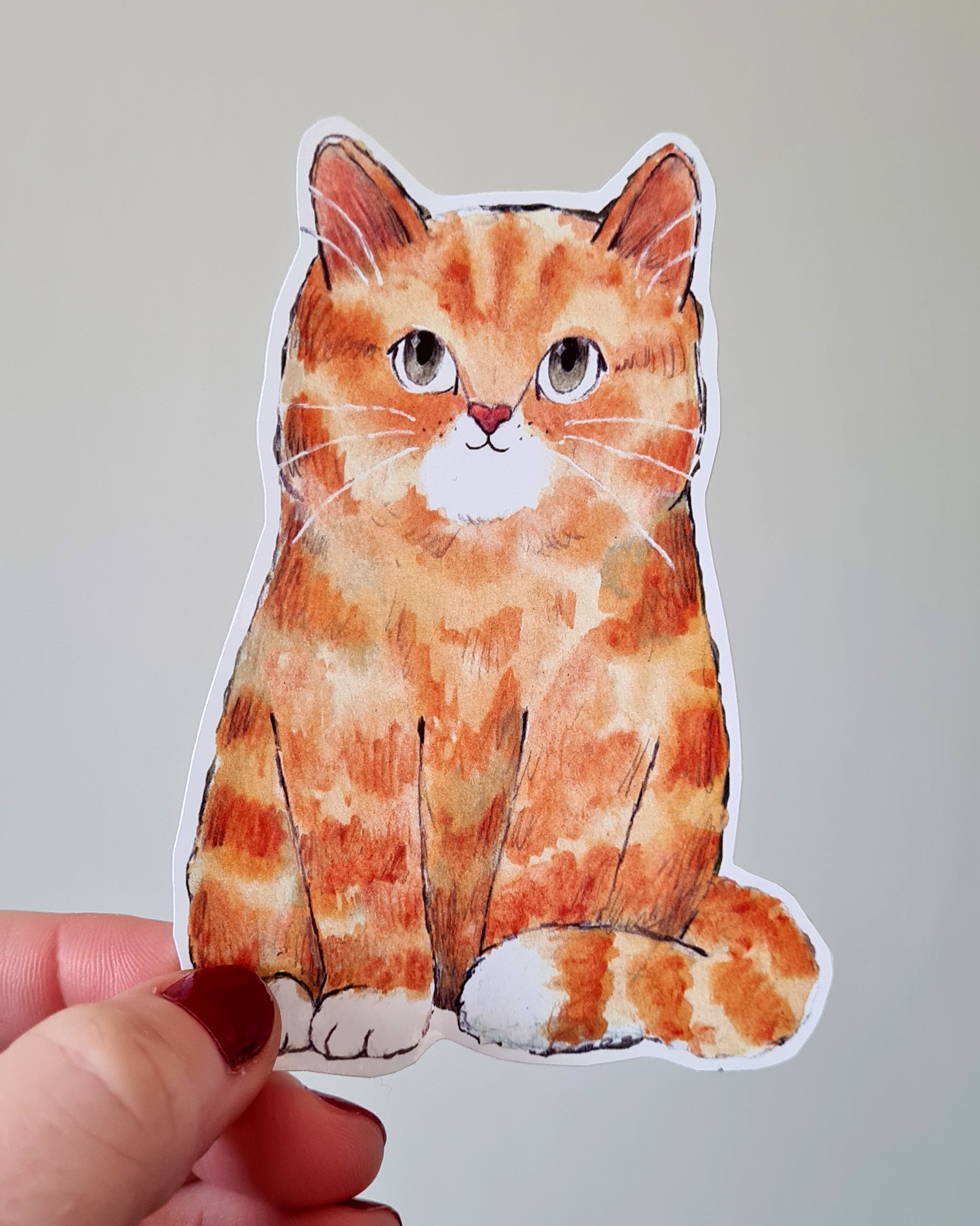 ginger cat.jpg