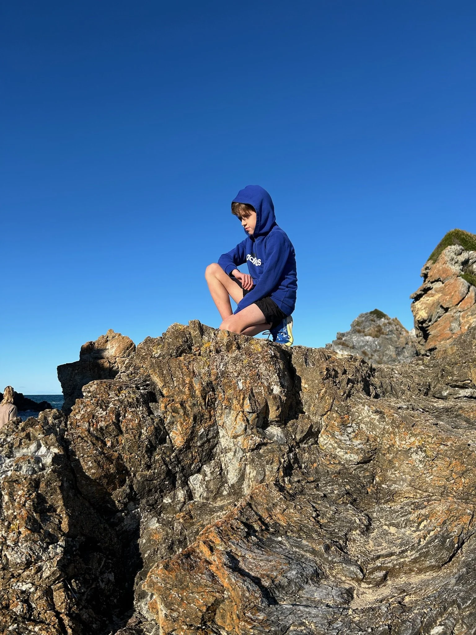 Explorer Hamy in pensive mode.