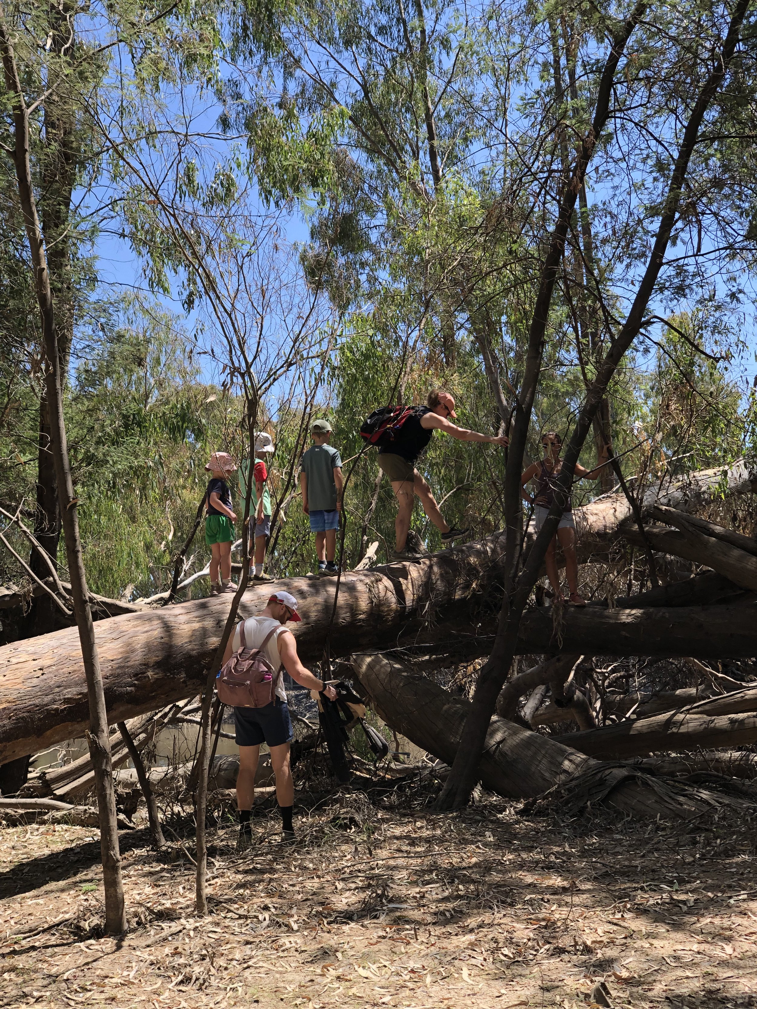Explorers in action