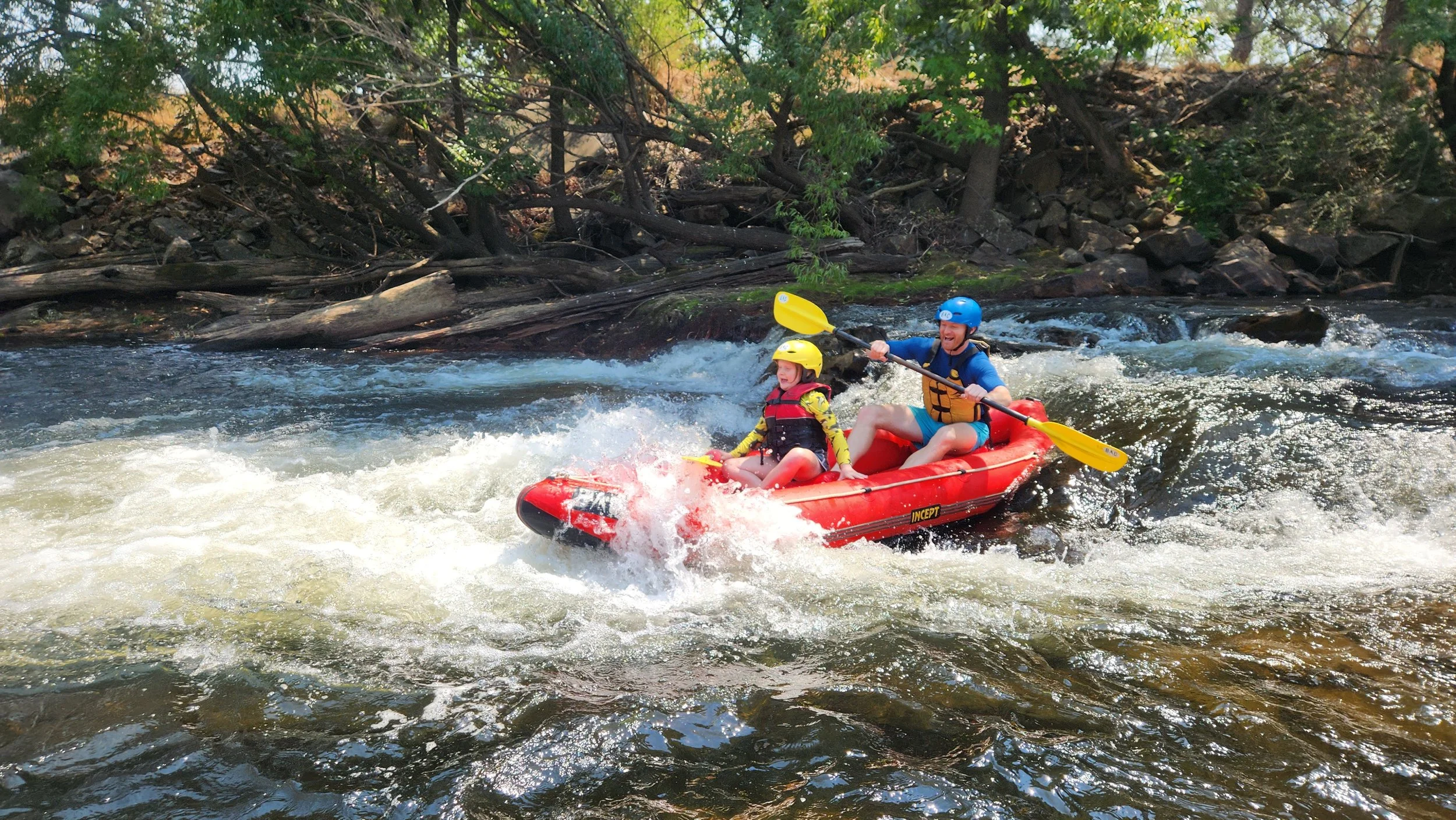 The moment of truth!