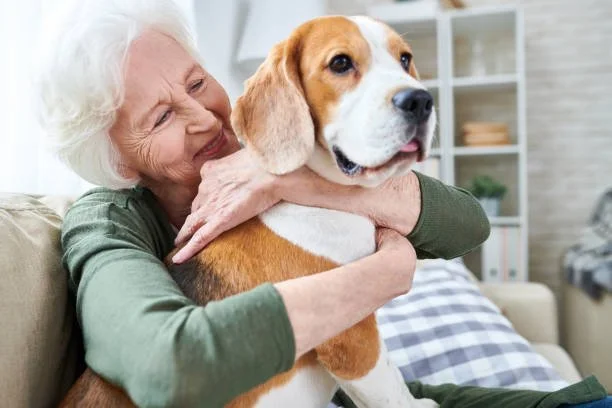 Rethinking Dog Training for Retired Life: A New Chapter for You and Your Dog