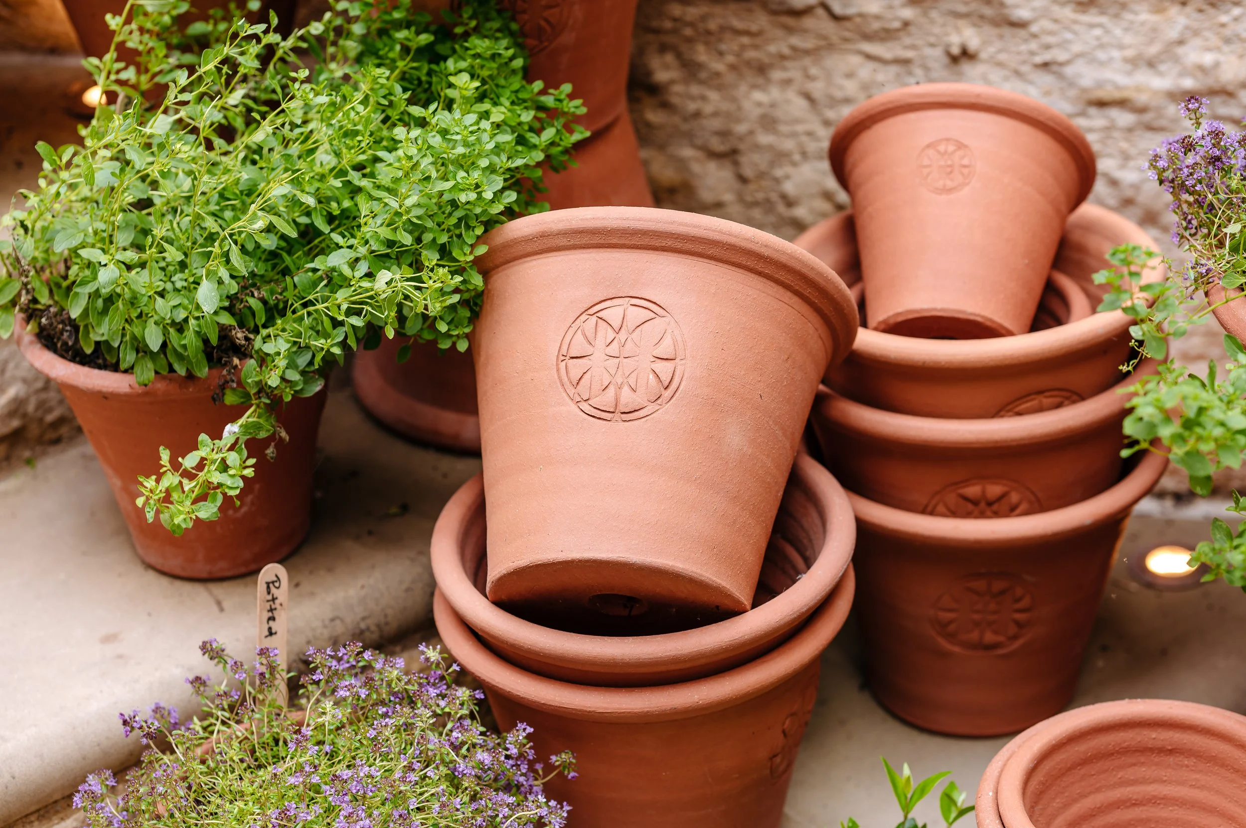 Stacked terracotta flower pots with embossed designs next to green plants and purple flowers, some labeled 'Petita'.