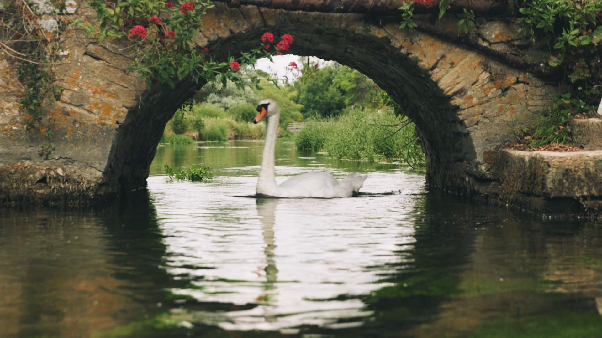 Eleven-Bibury-Highlight.jpg