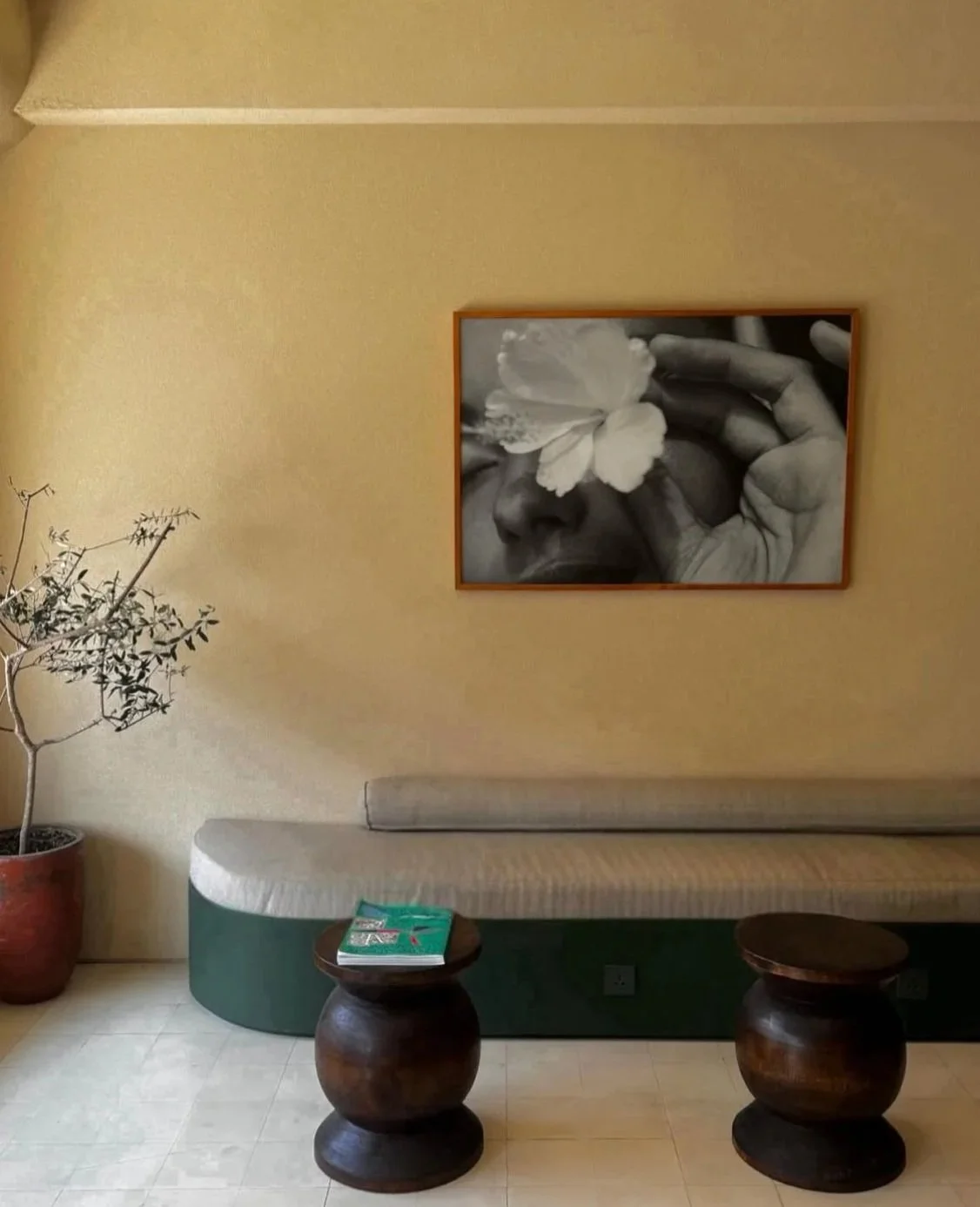BALI WELLNESS GUIDE