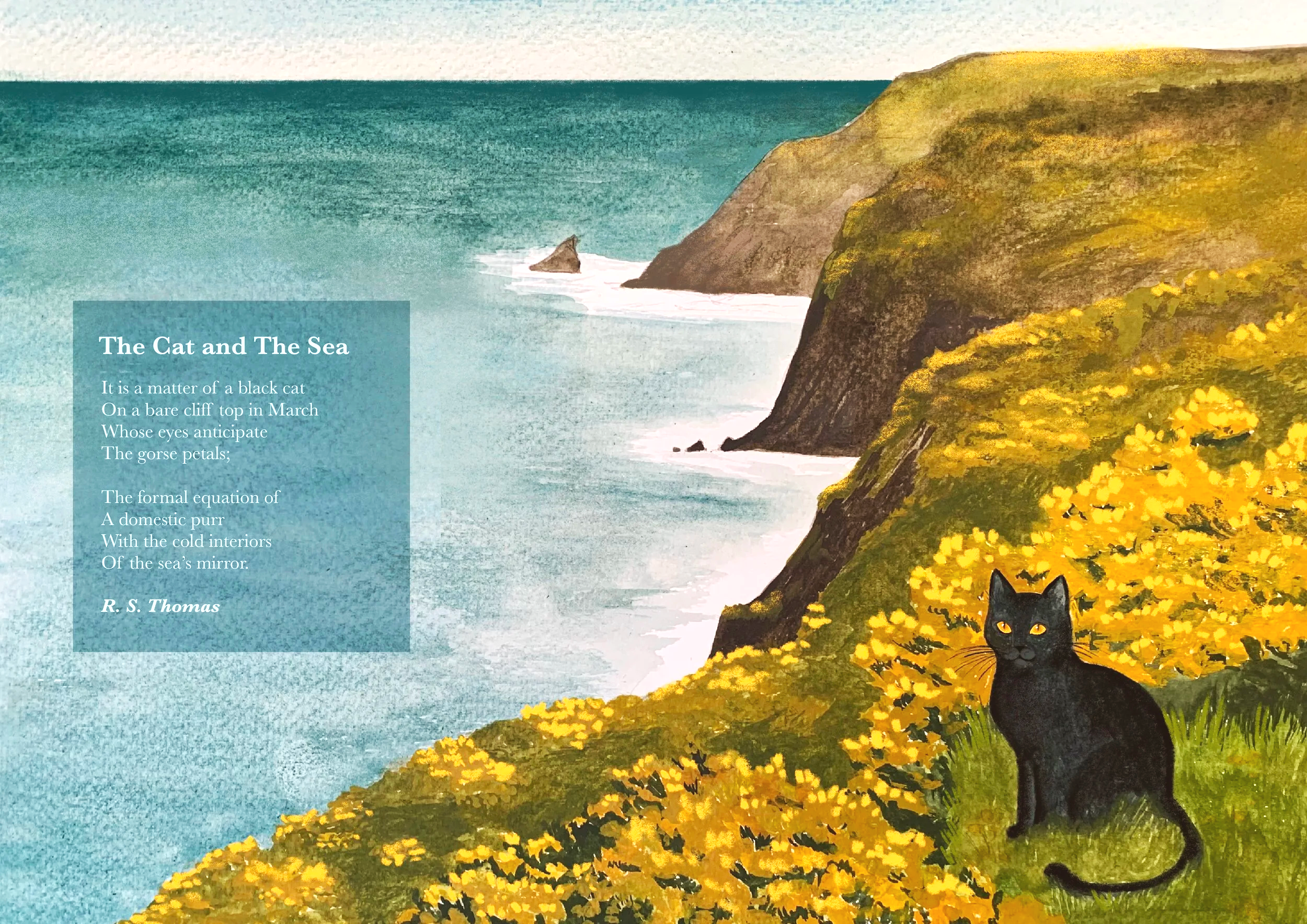 The Cat and the Sea 