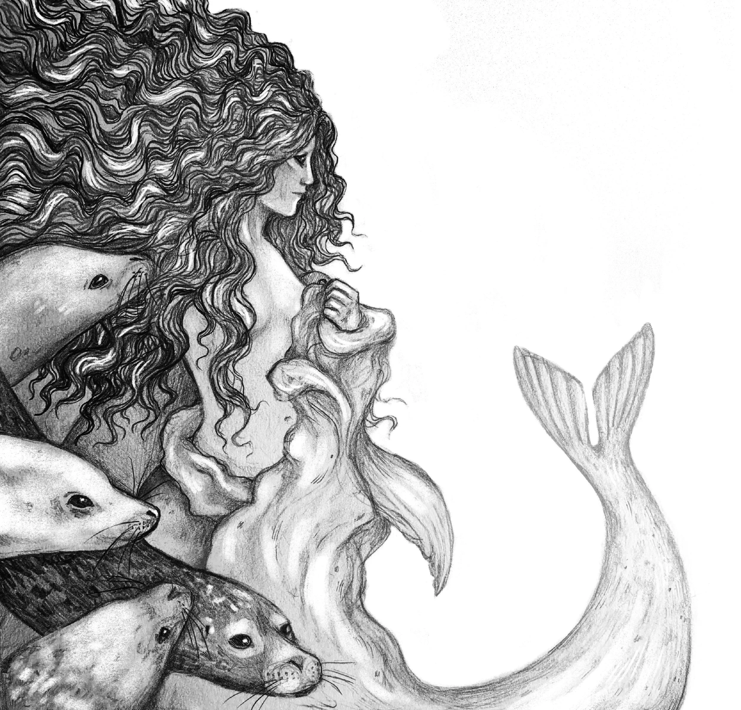 Poppy Freeman | Illustration